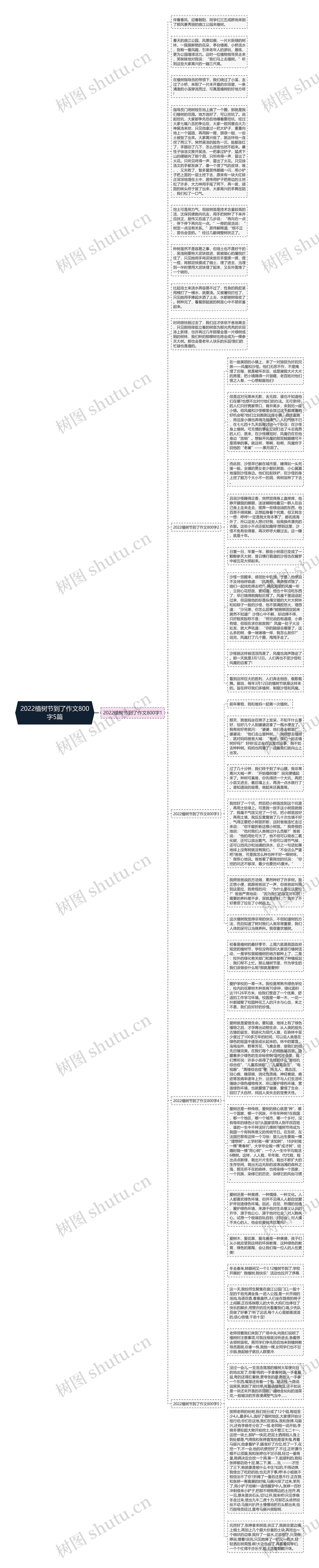 2022植树节到了作文800字5篇