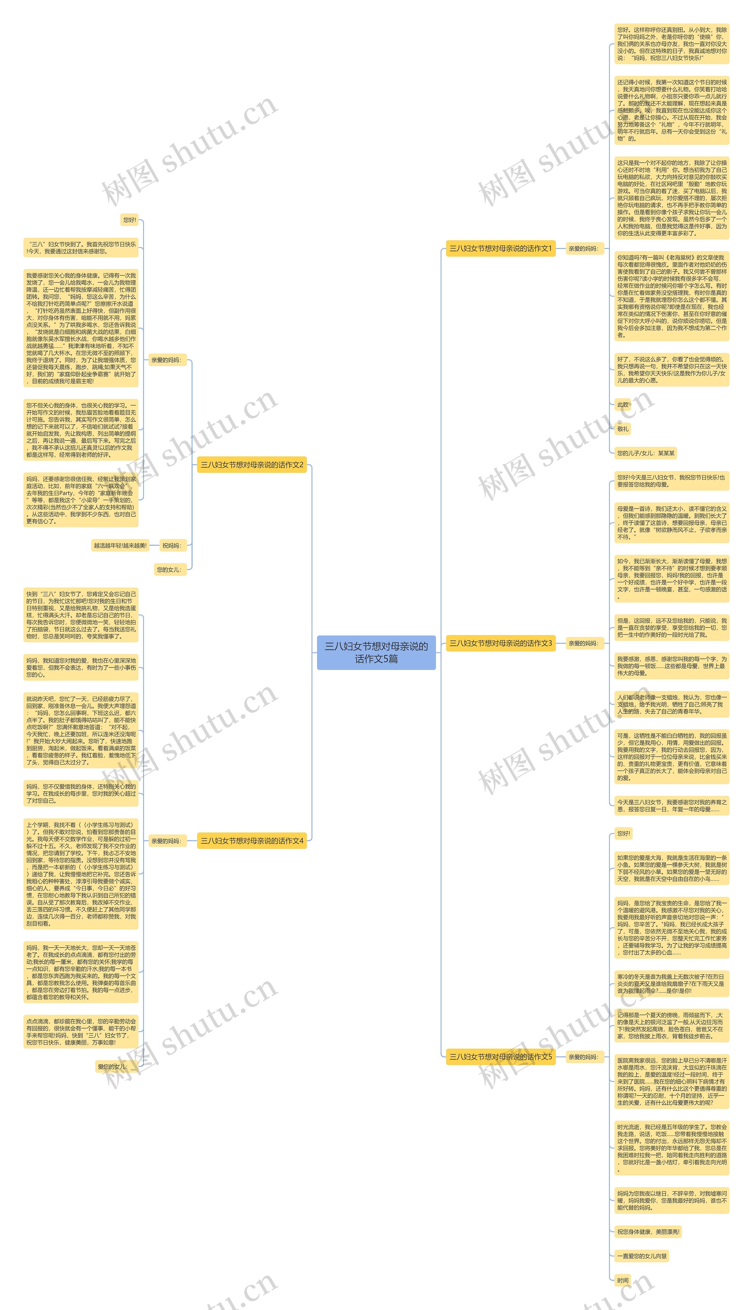 三八妇女节想对母亲说的话作文5篇思维导图