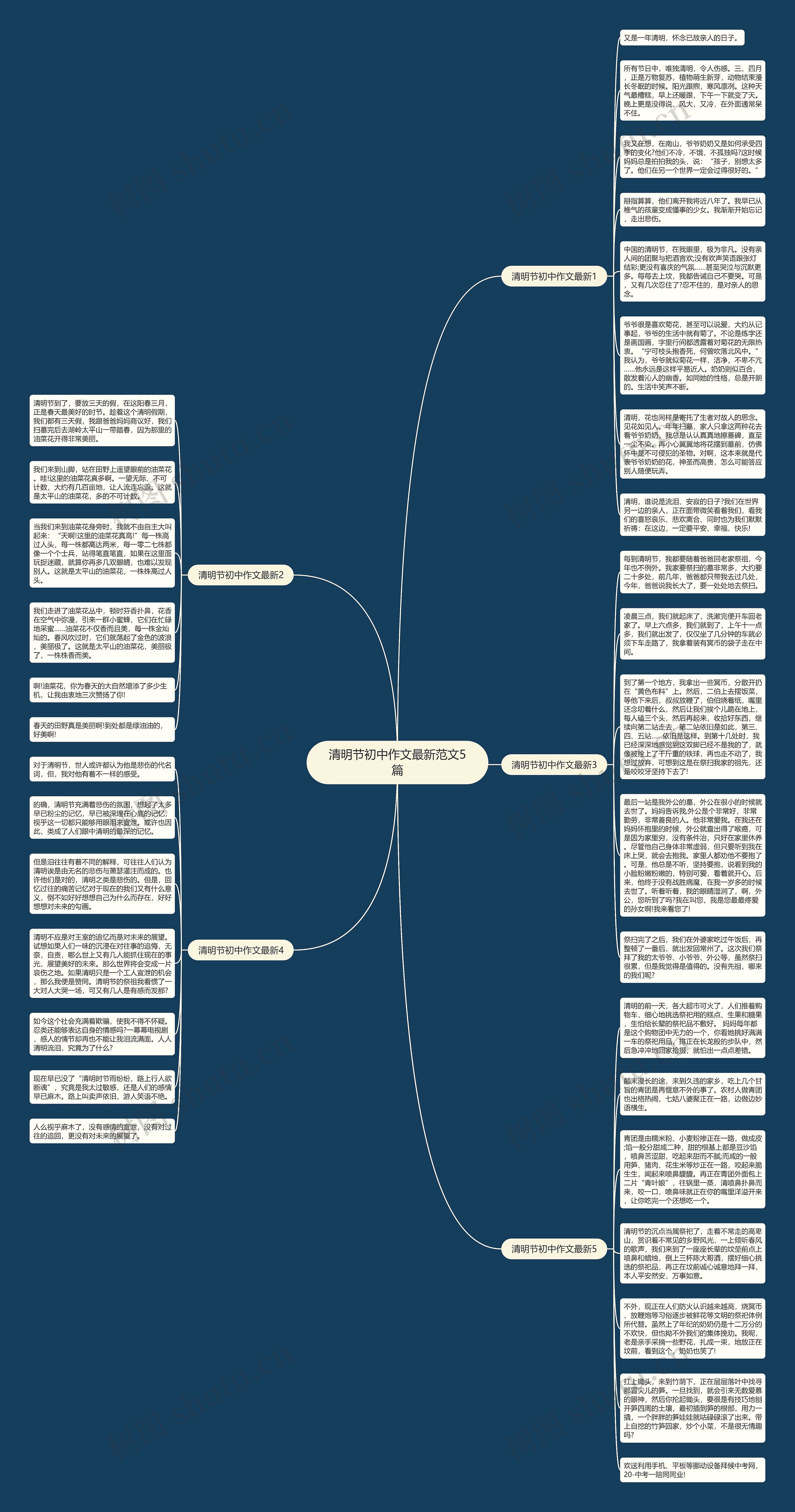 清明节初中作文最新范文5篇思维导图