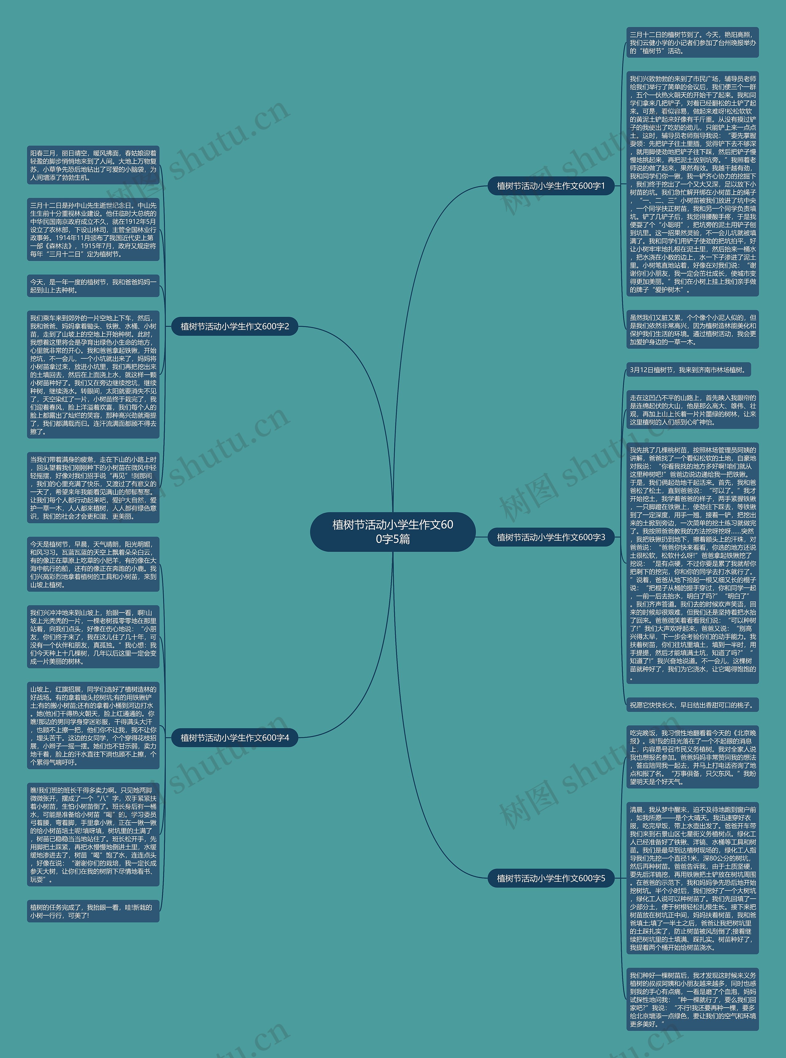 植树节活动小学生作文600字5篇思维导图