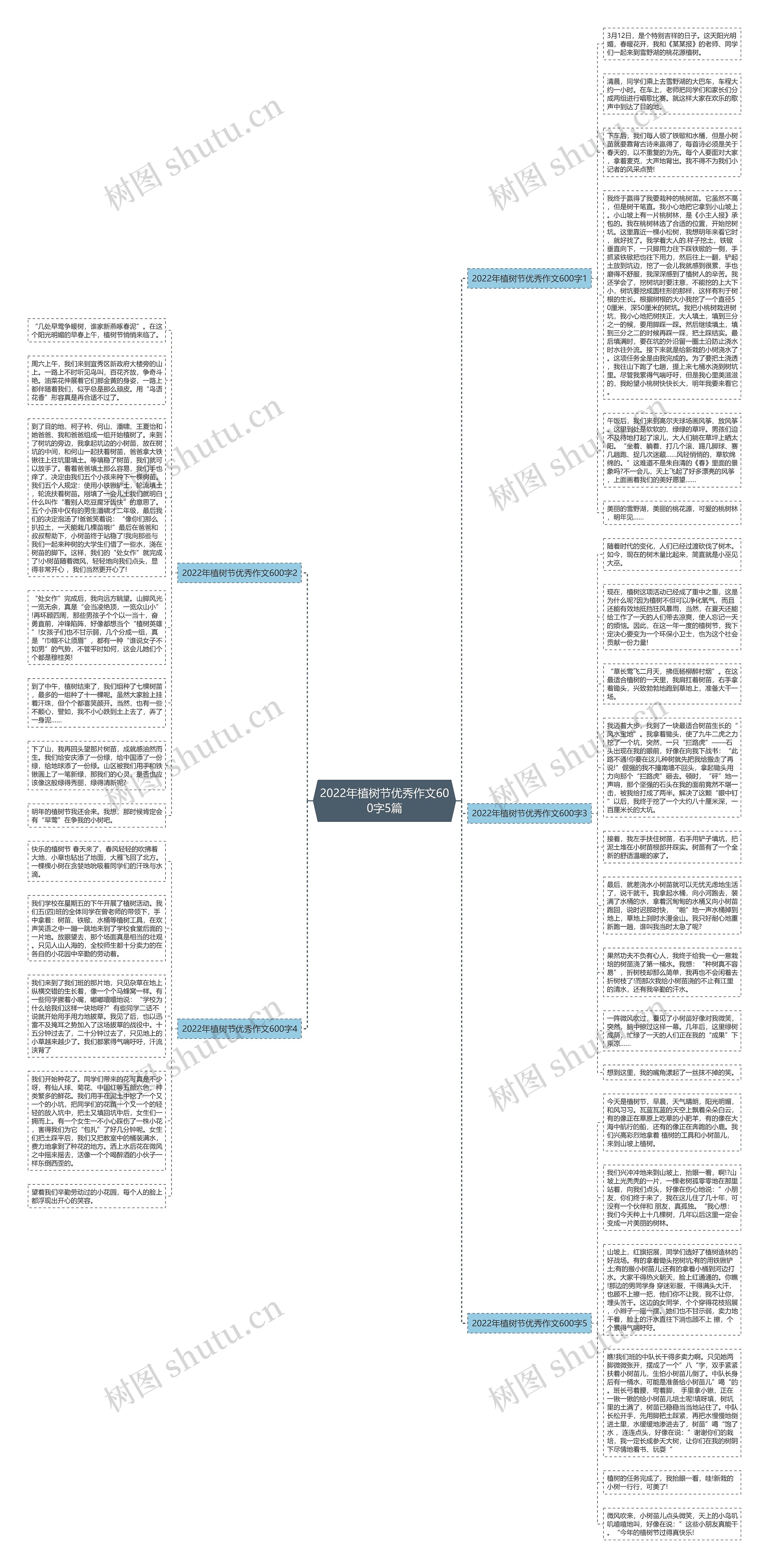 2022年植树节优秀作文600字5篇思维导图