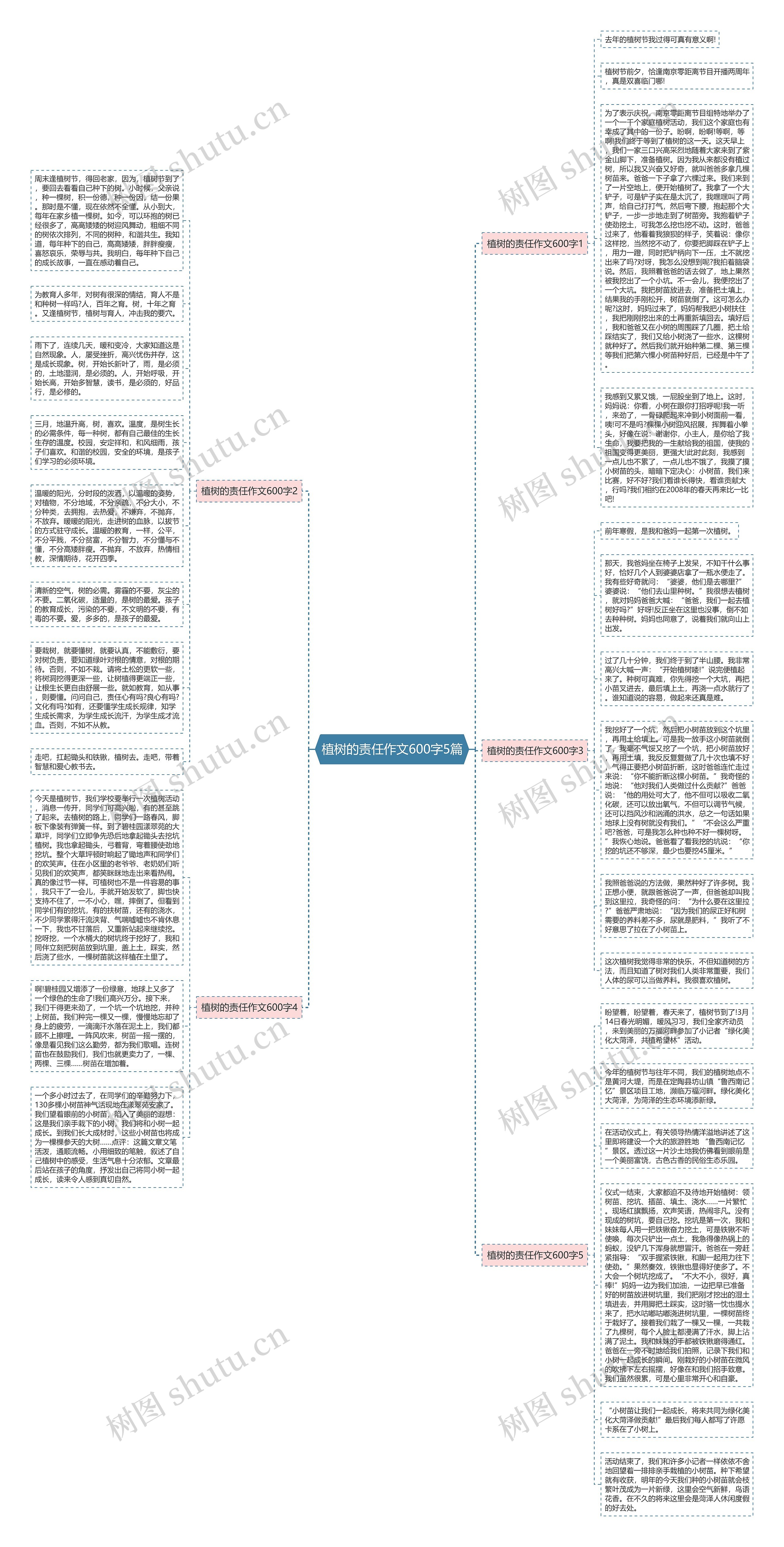 植树的责任作文600字5篇思维导图