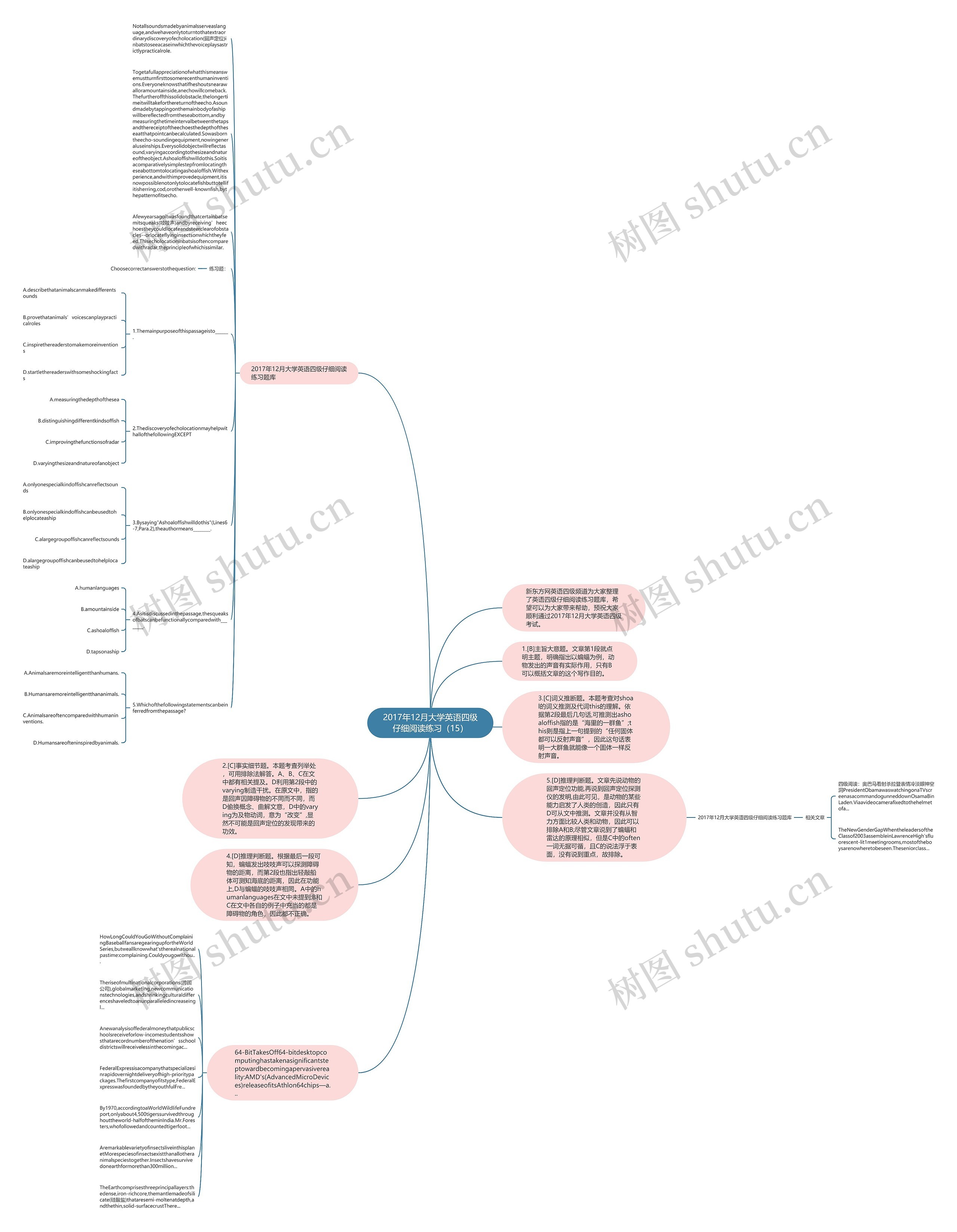 2017年12月大学英语四级仔细阅读练习（15）思维导图