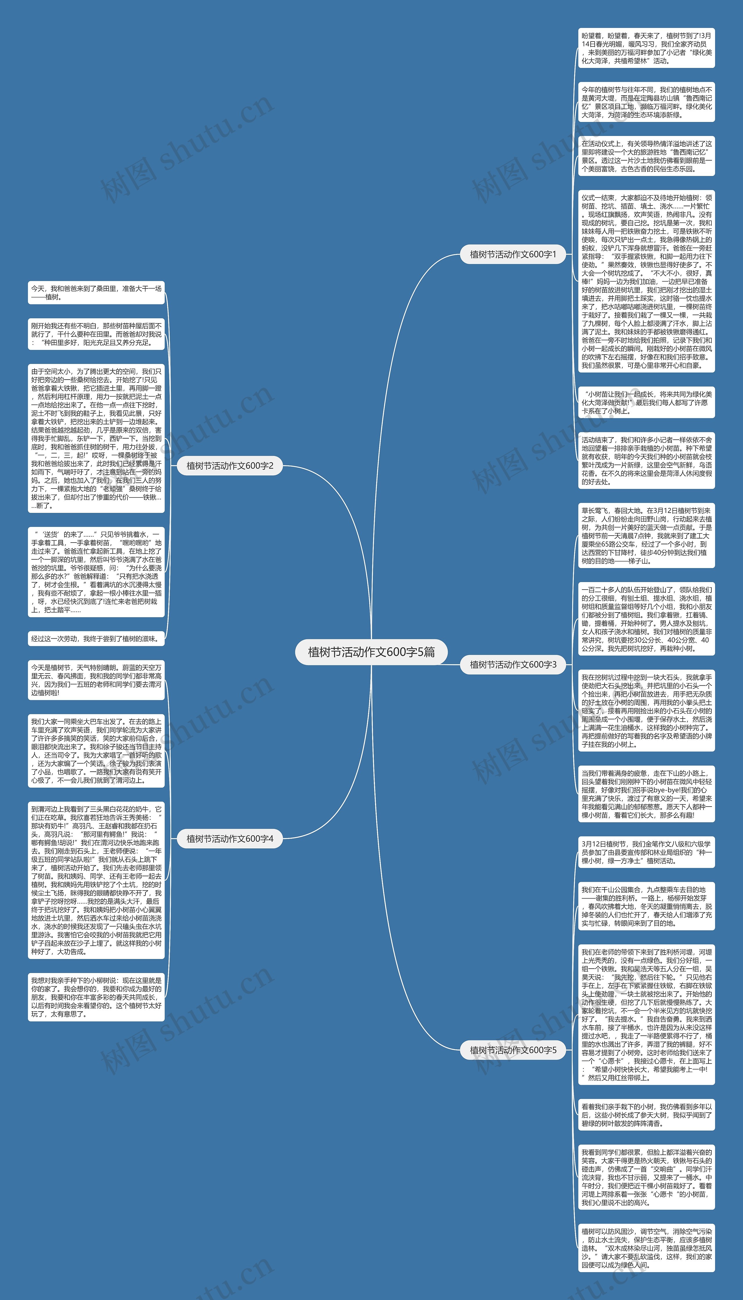 植树节活动作文600字5篇思维导图