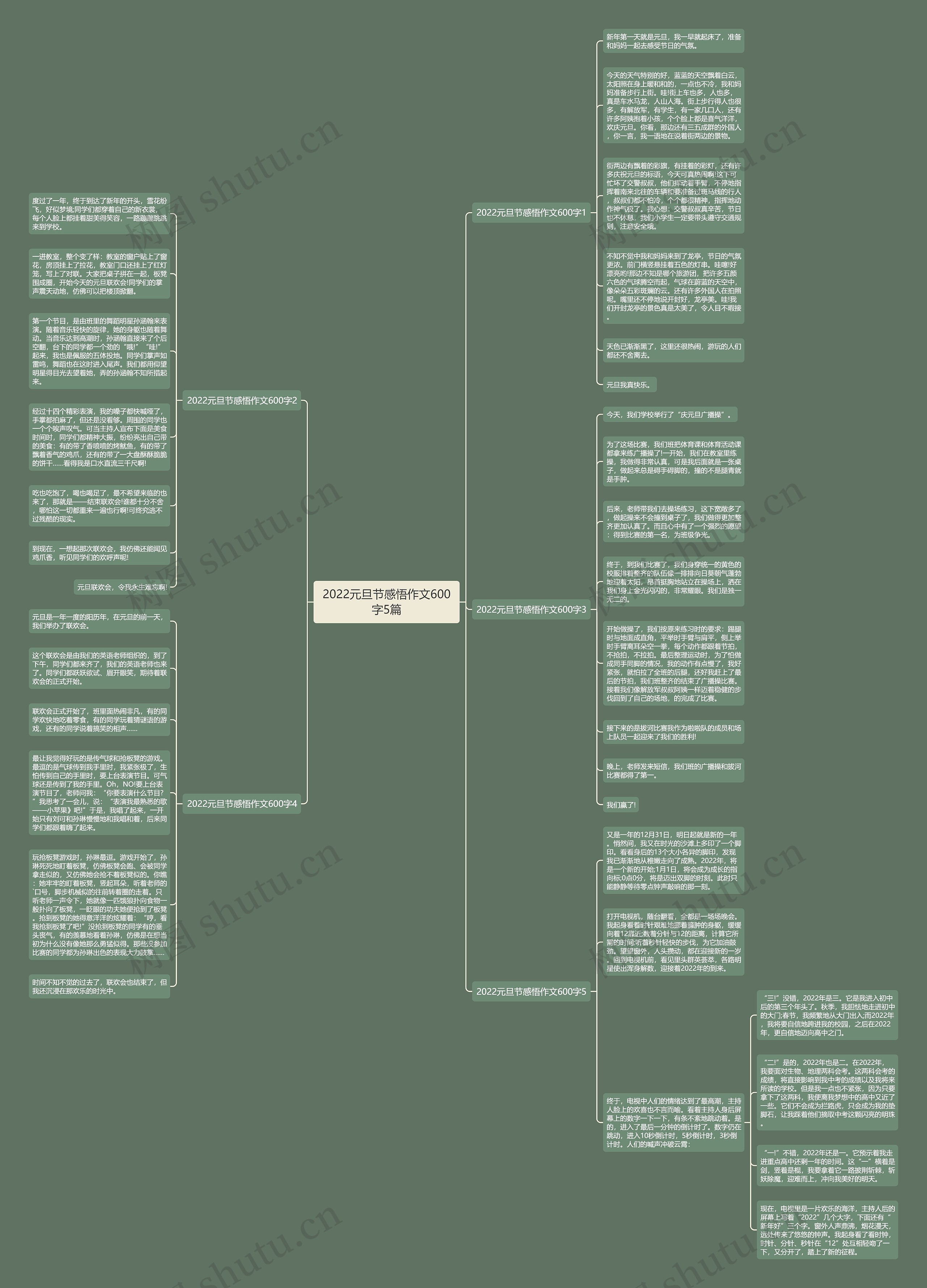 2022元旦节感悟作文600字5篇思维导图