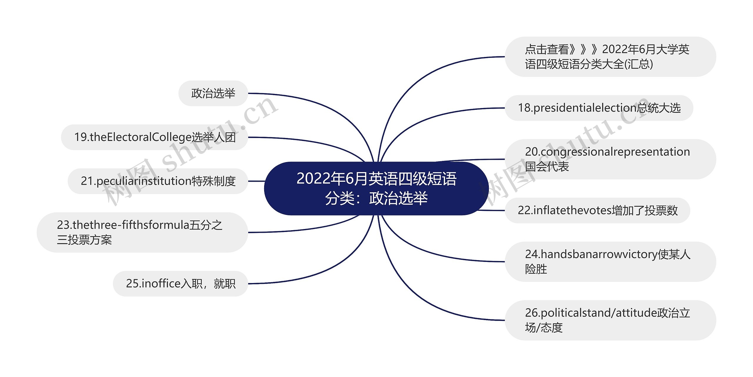 2022年6月英语四级短语分类：政治选举