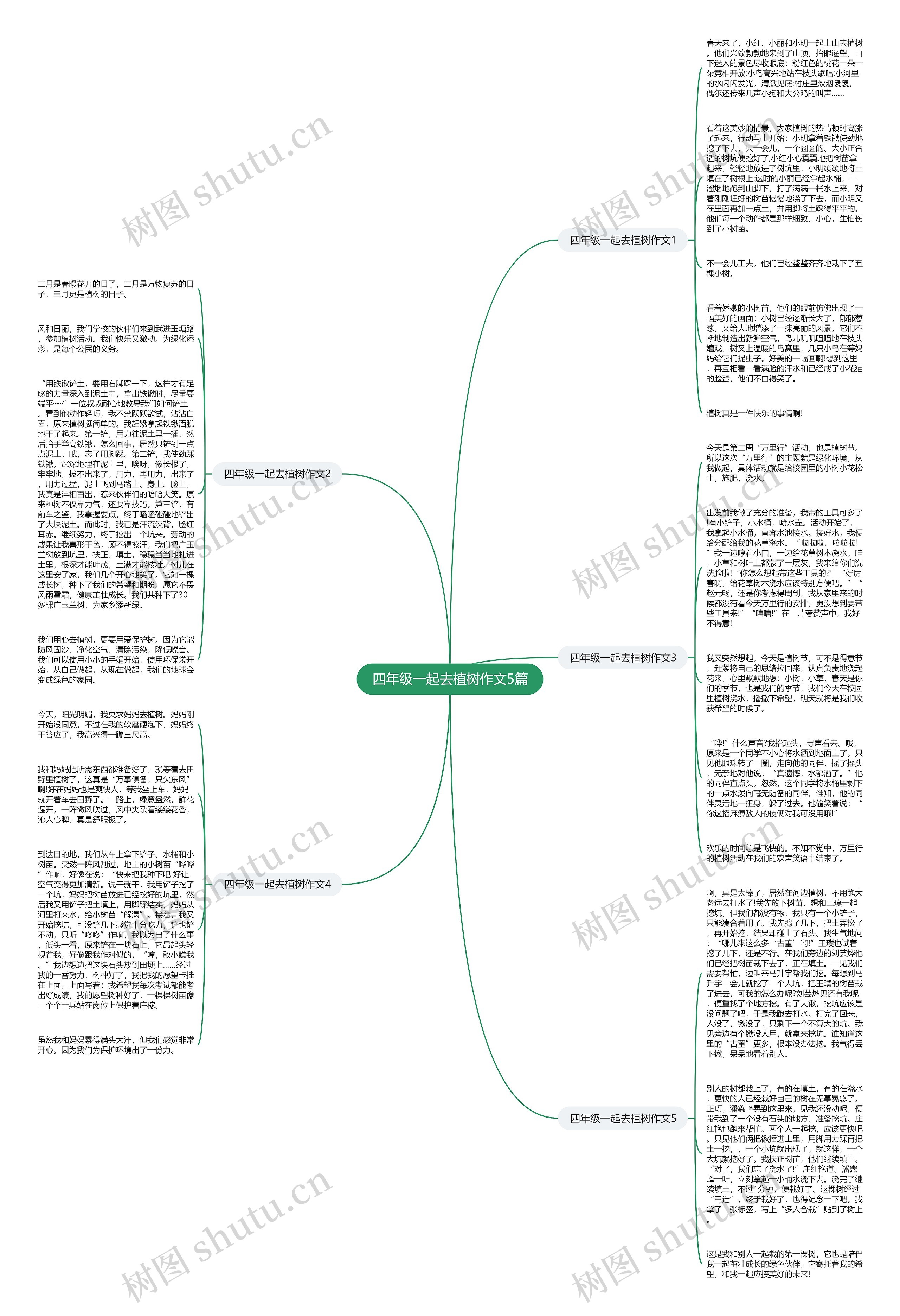 四年级一起去植树作文5篇思维导图