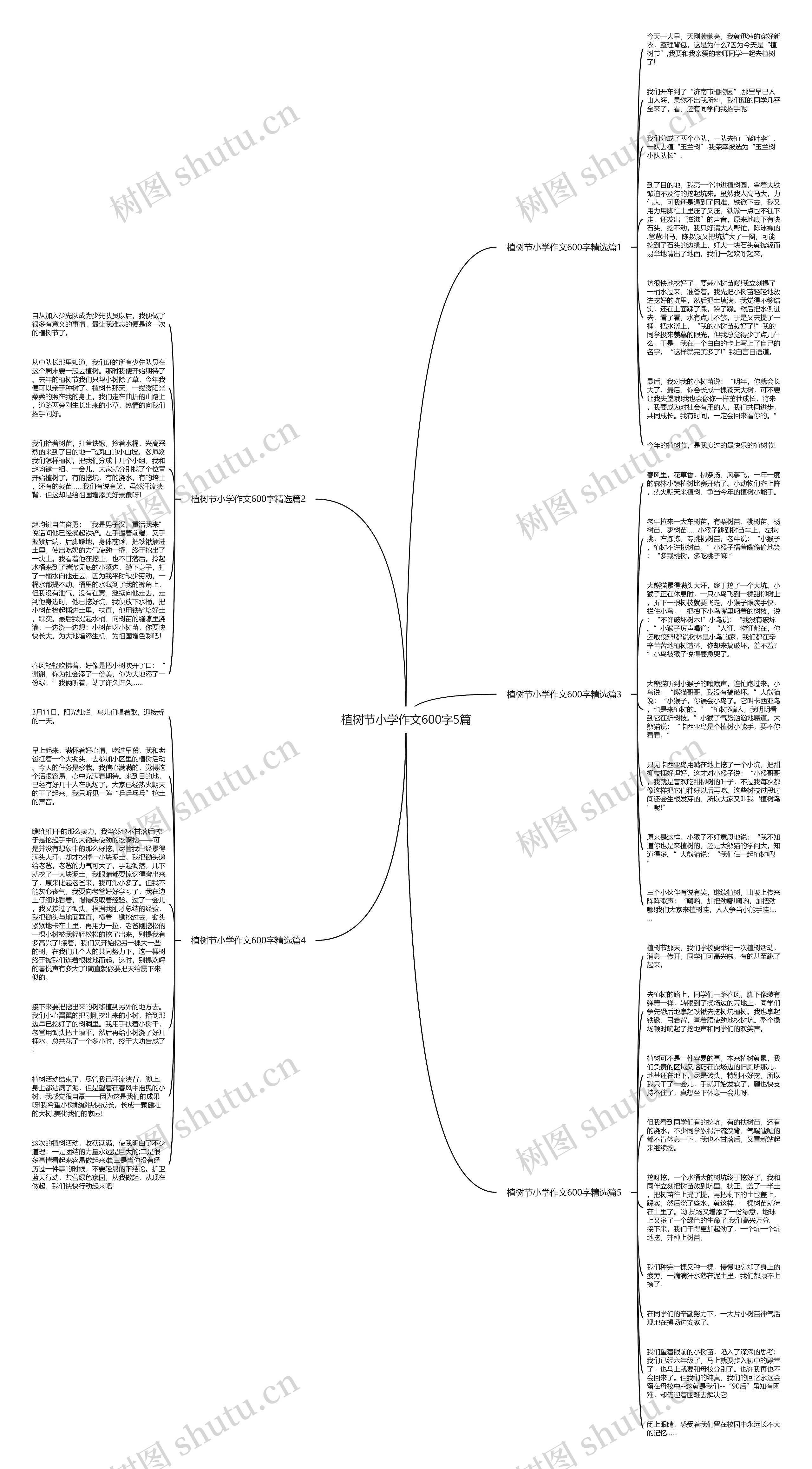 植树节小学作文600字5篇思维导图