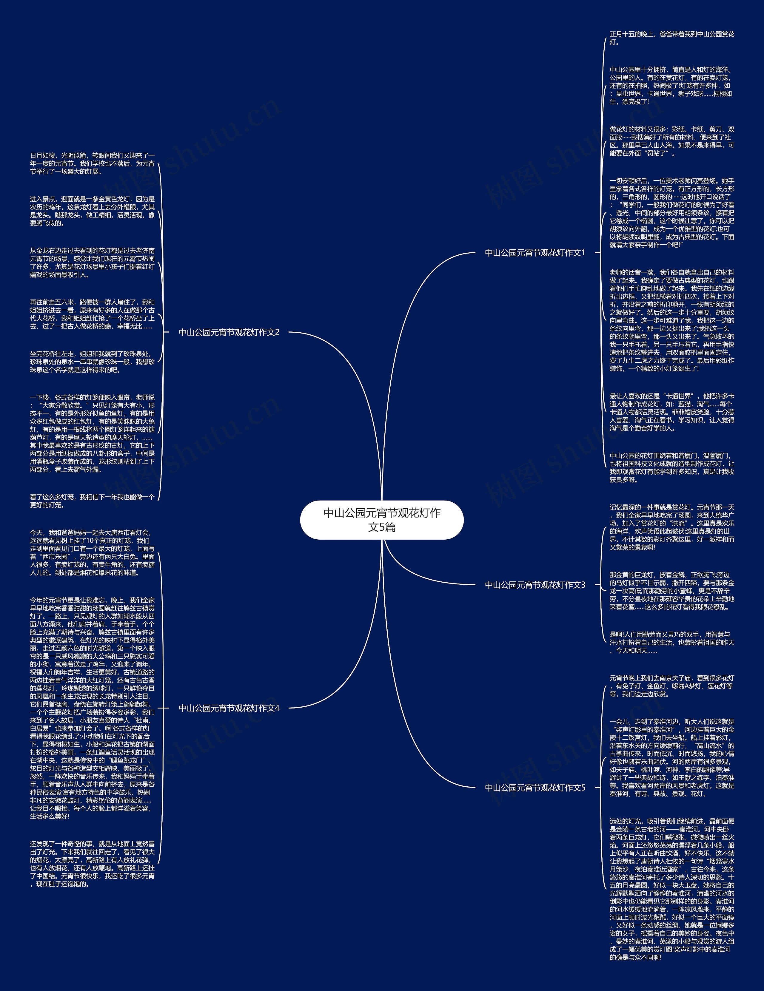 中山公园元宵节观花灯作文5篇思维导图