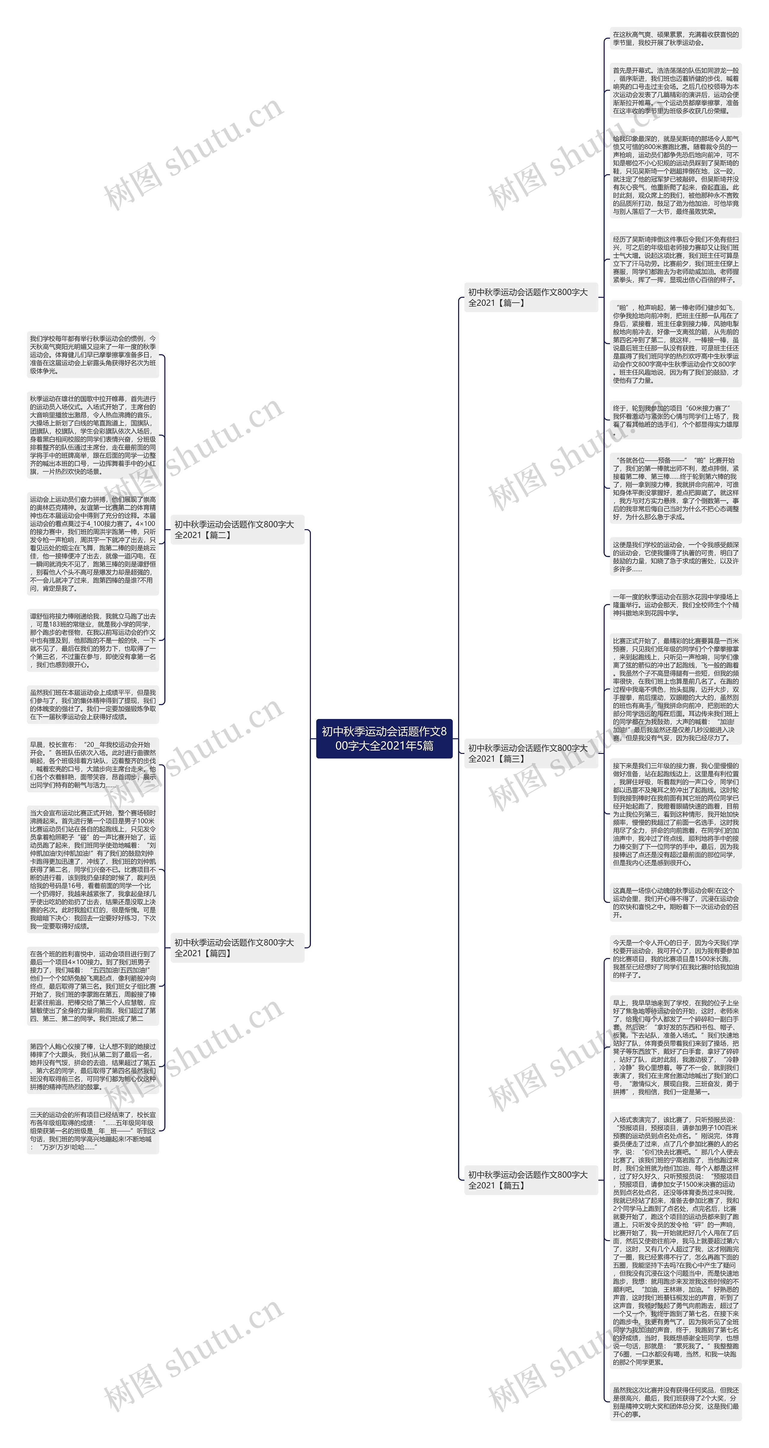 初中秋季运动会话题作文800字大全2021年5篇思维导图