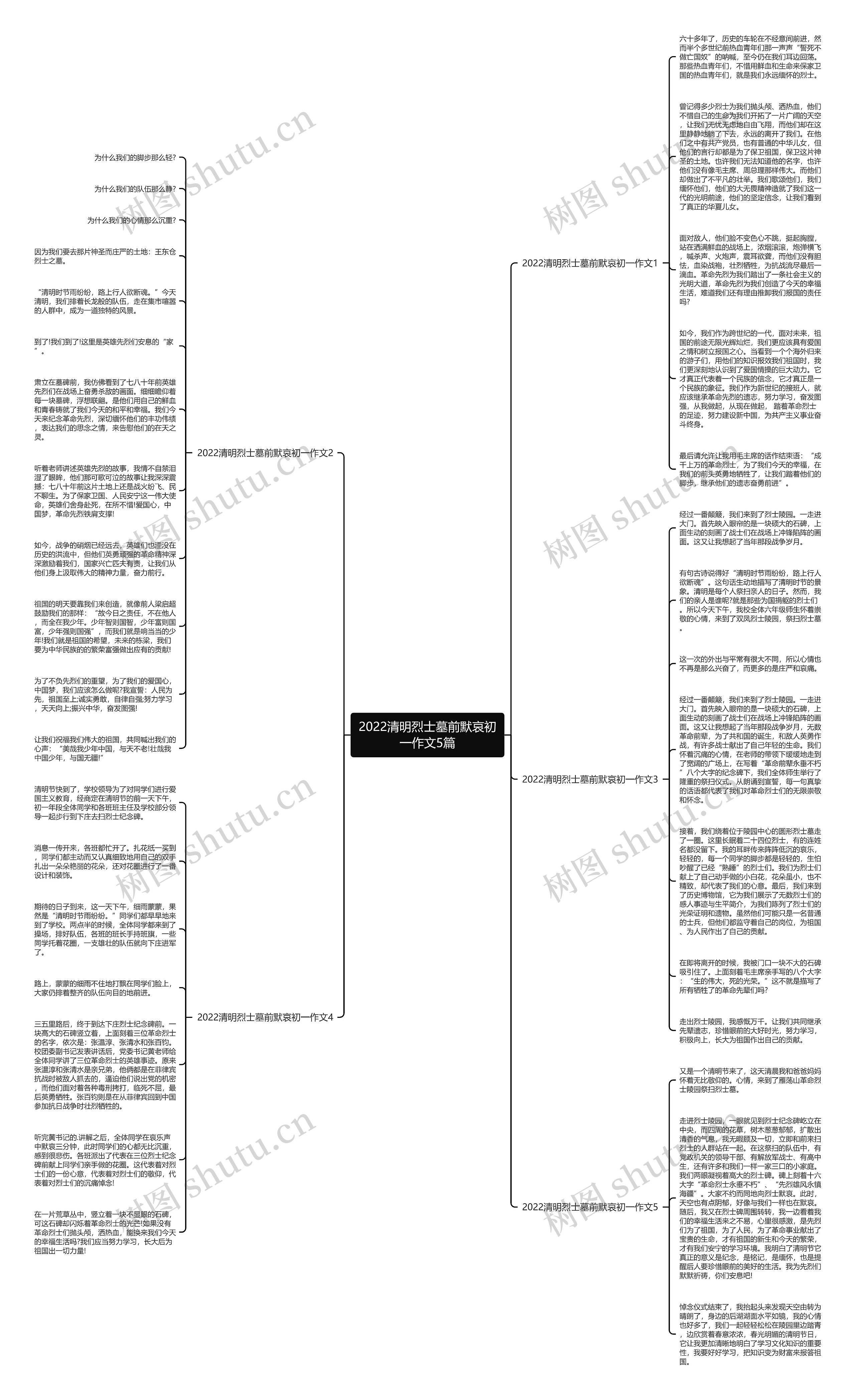 2022清明烈士墓前默哀初一作文5篇
