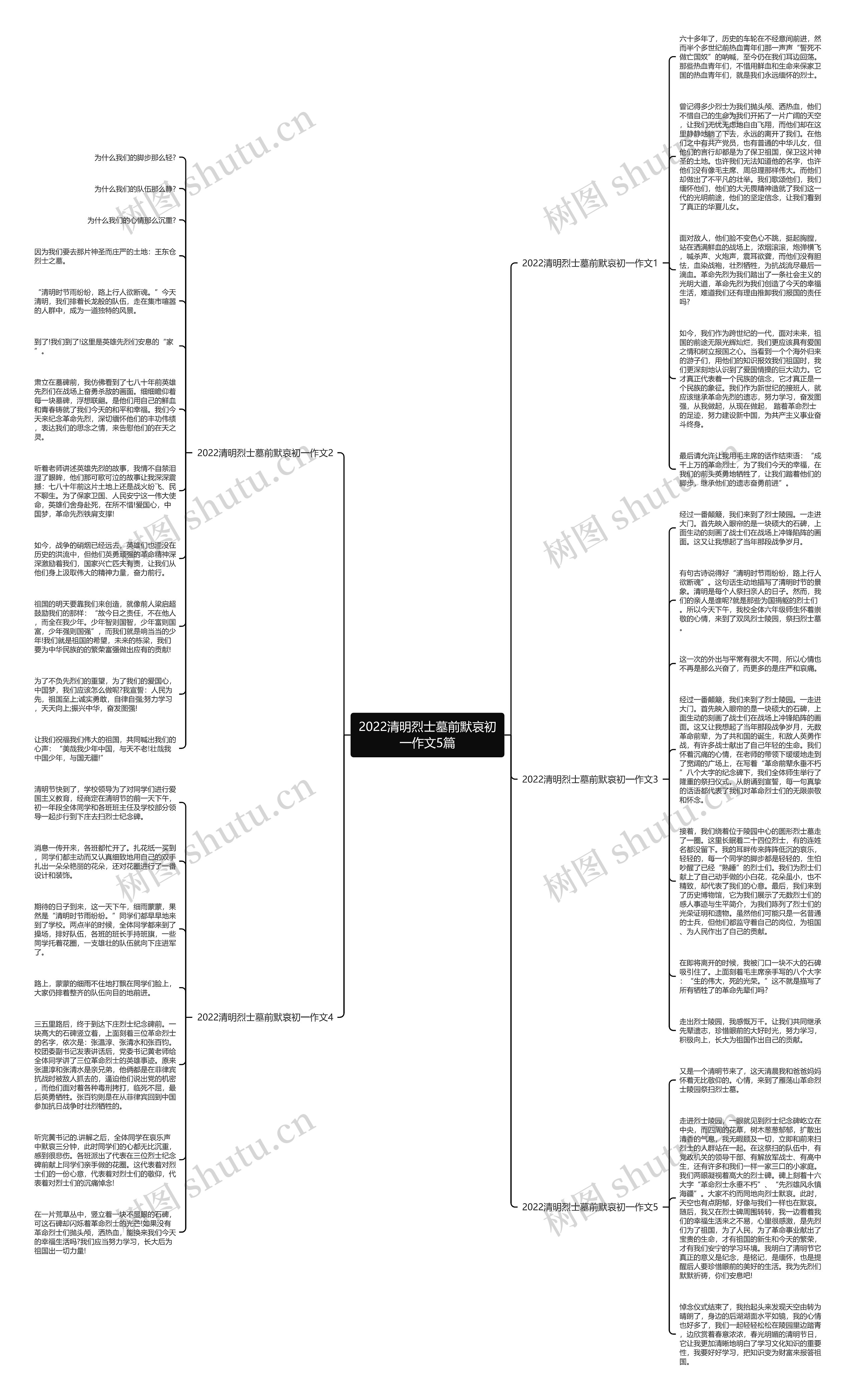 2022清明烈士墓前默哀初一作文5篇