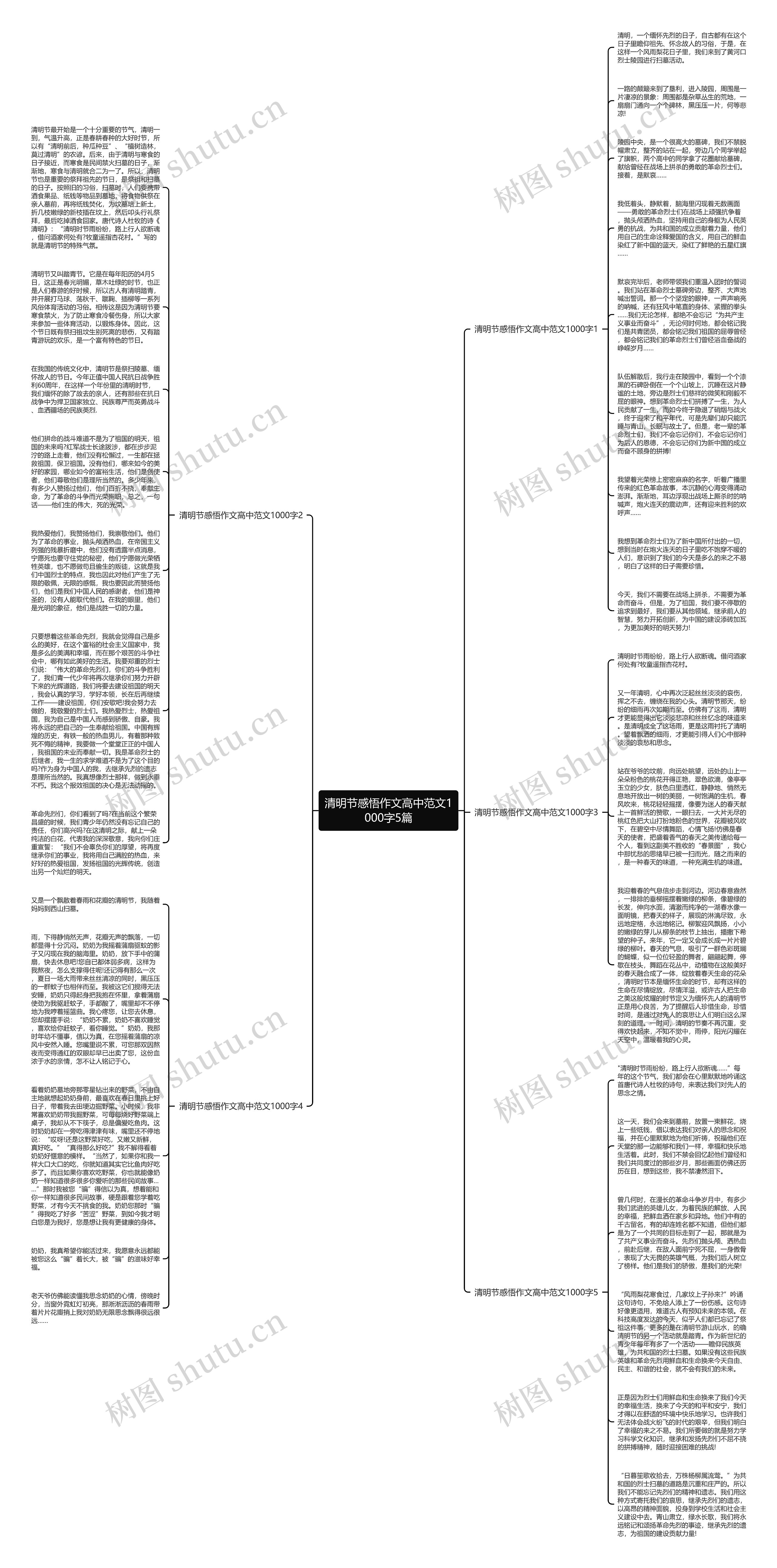 清明节感悟作文高中范文1000字5篇思维导图