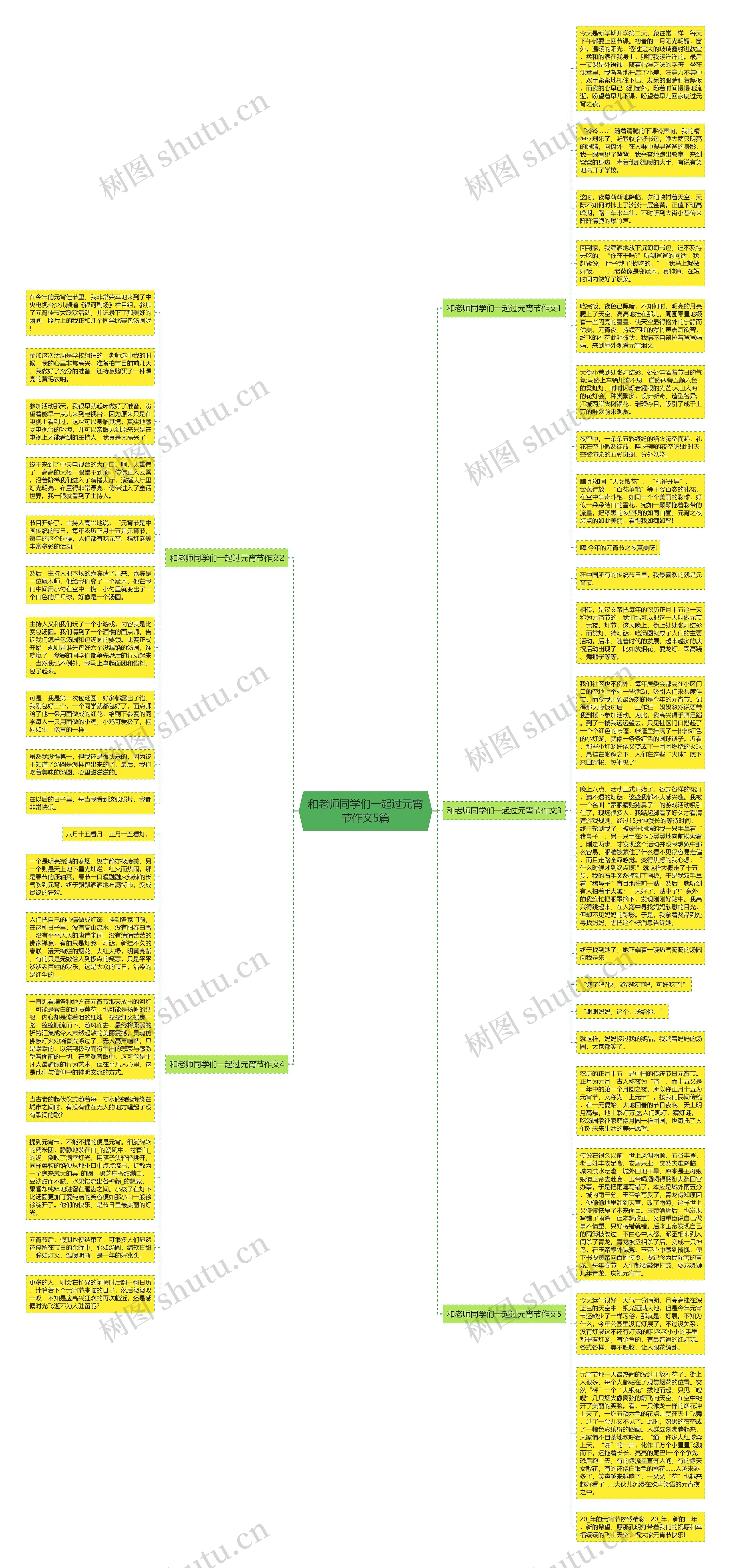 和老师同学们一起过元宵节作文5篇思维导图