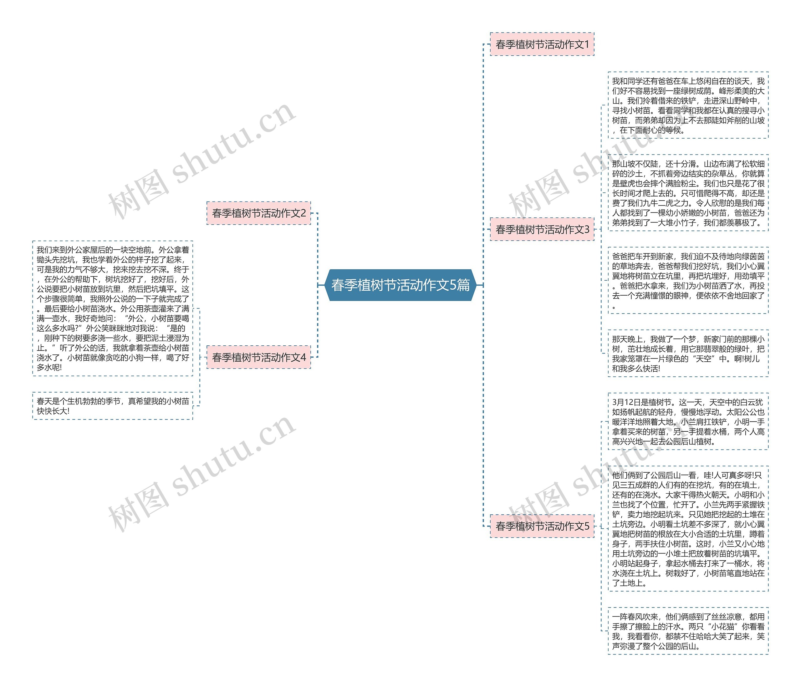 春季植树节活动作文5篇思维导图