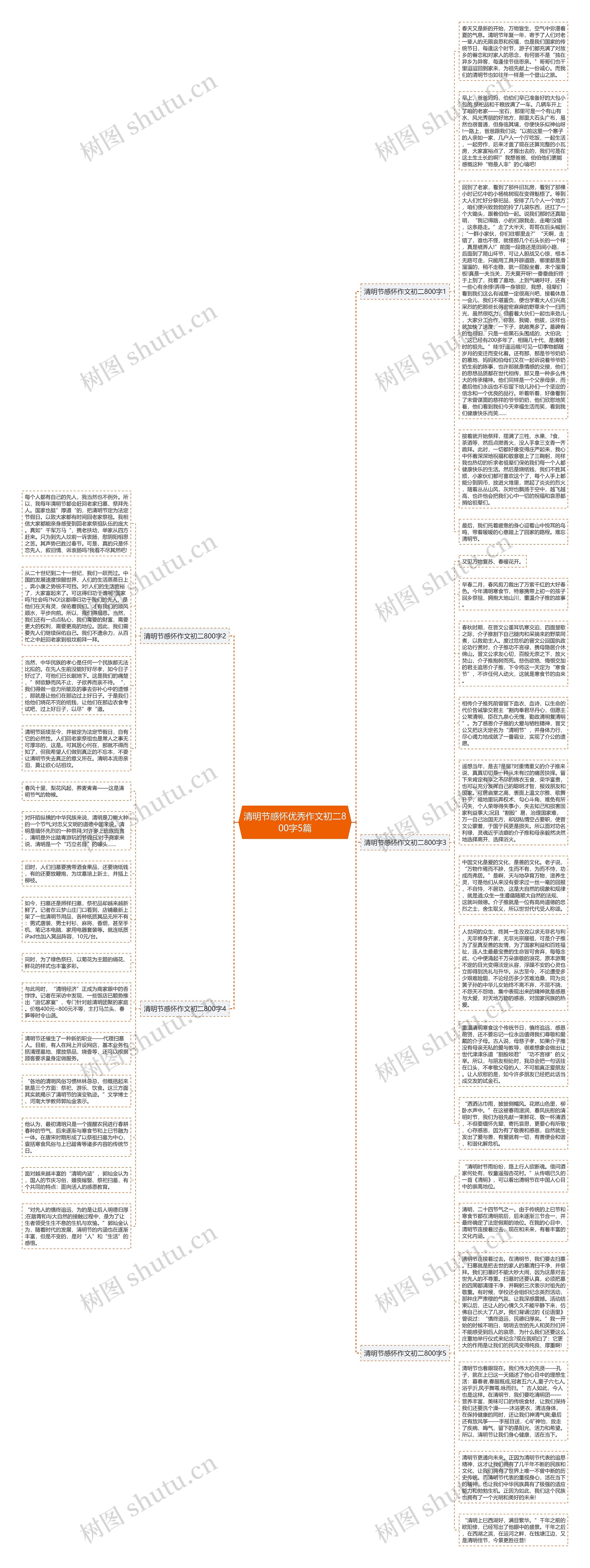 清明节感怀优秀作文初二800字5篇思维导图
