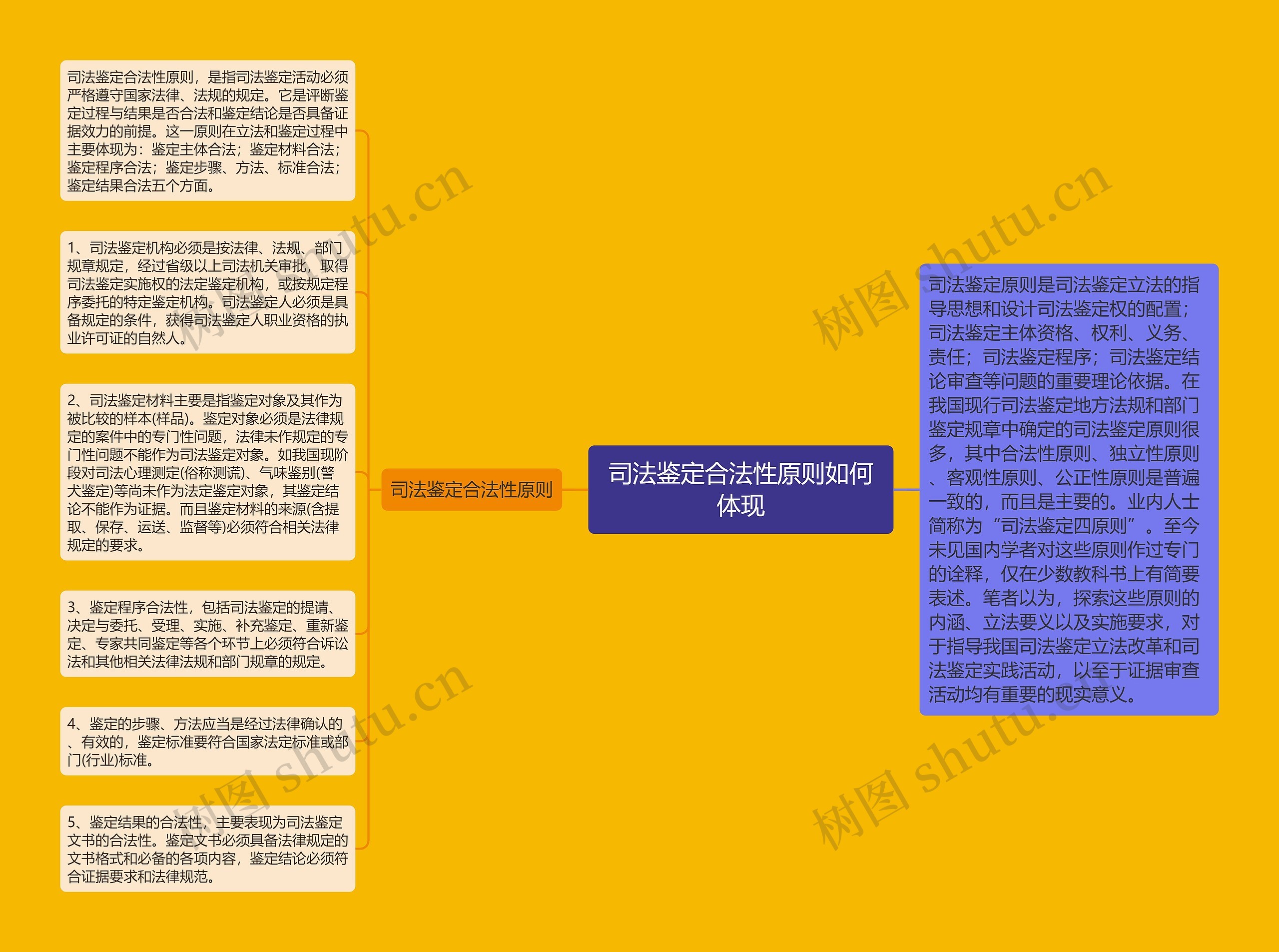 司法鉴定合法性原则如何体现思维导图