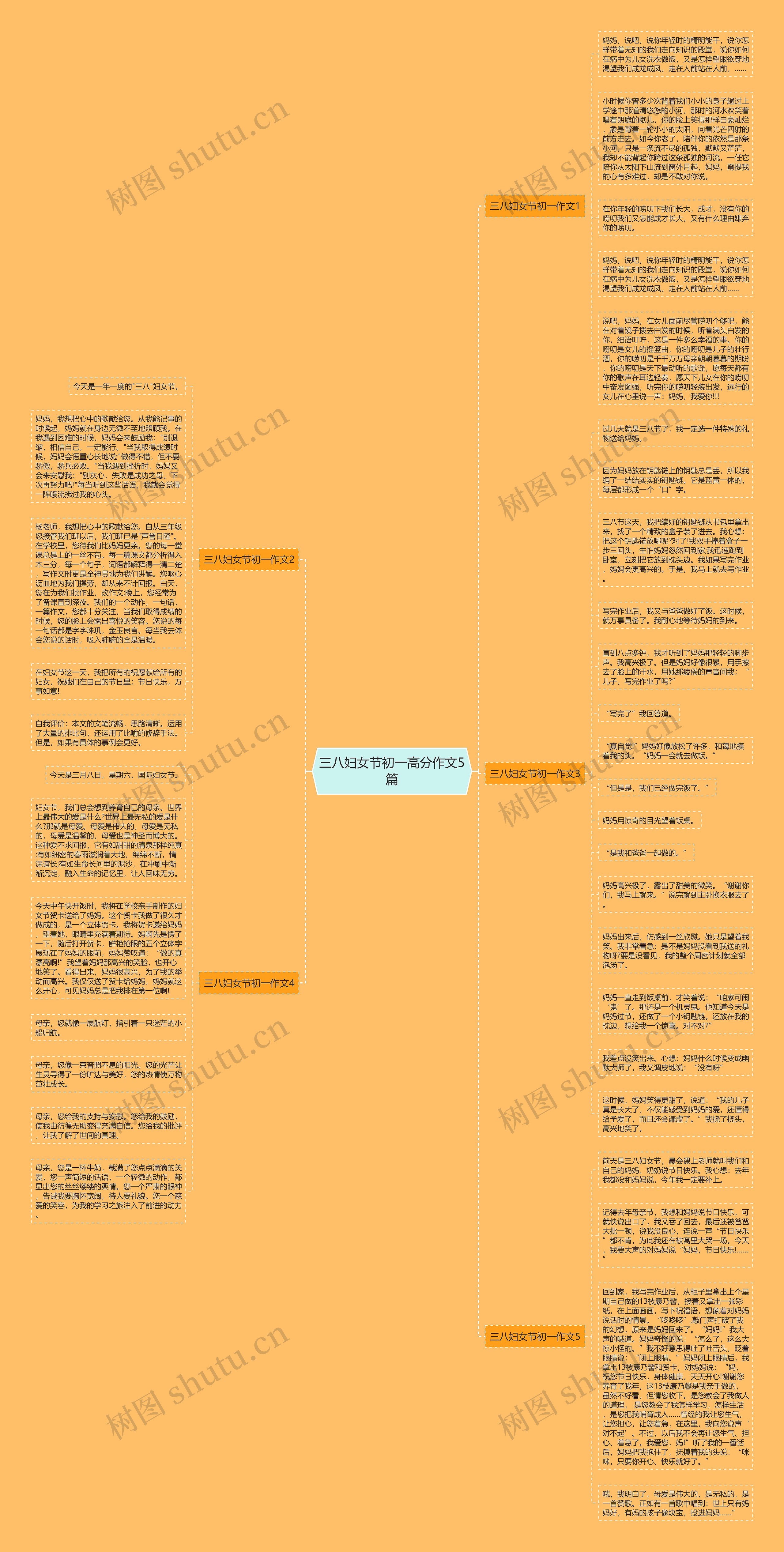 三八妇女节初一高分作文5篇思维导图