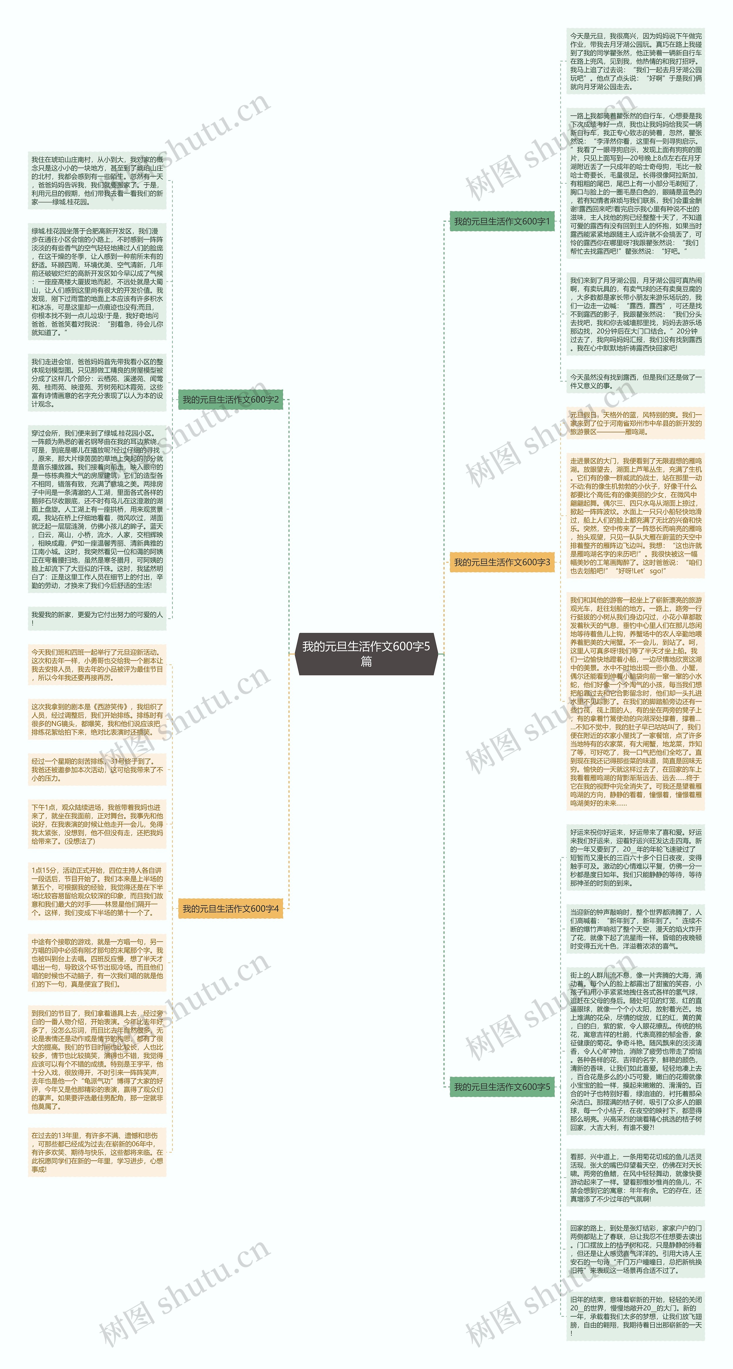 我的元旦生活作文600字5篇思维导图