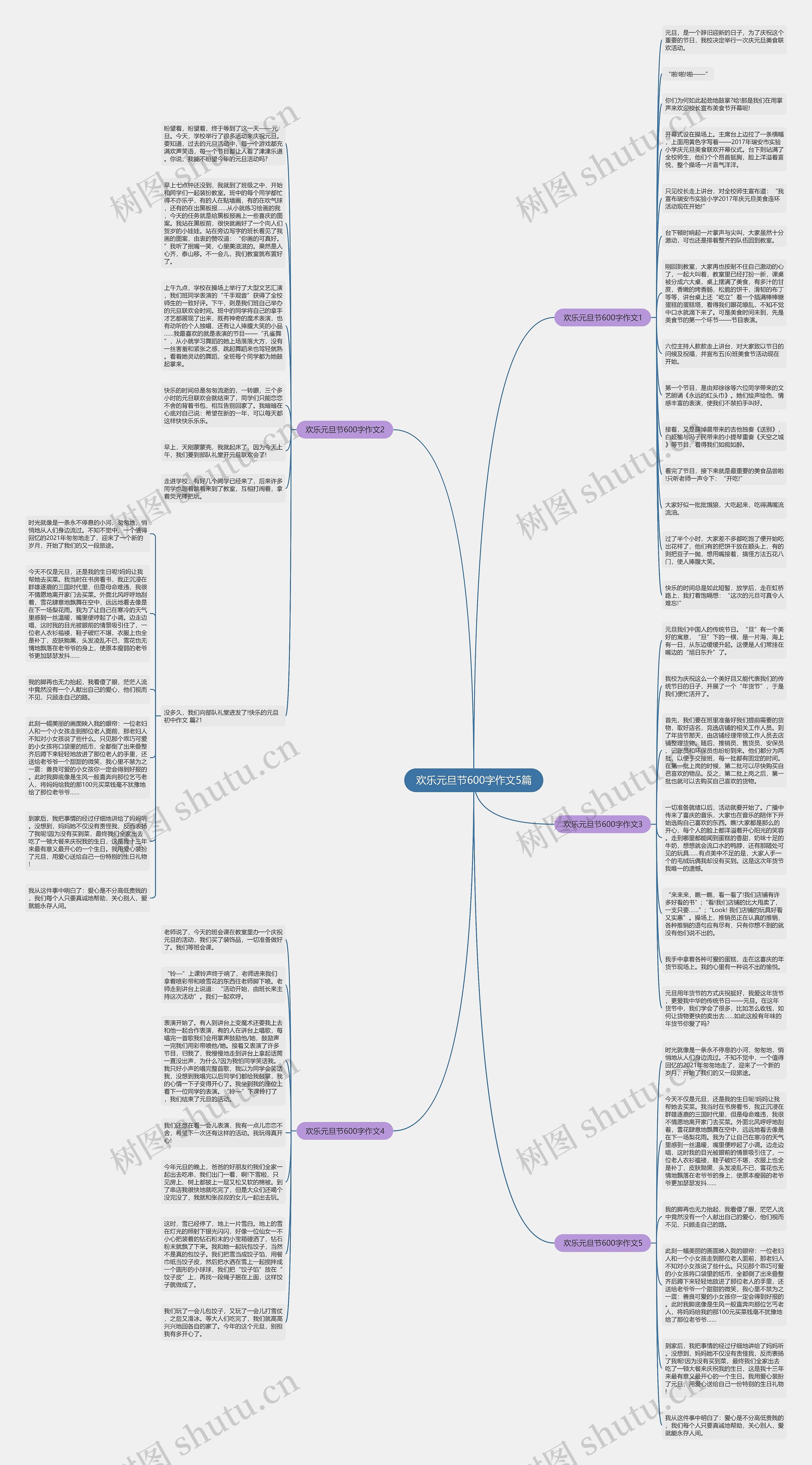 欢乐元旦节600字作文5篇思维导图