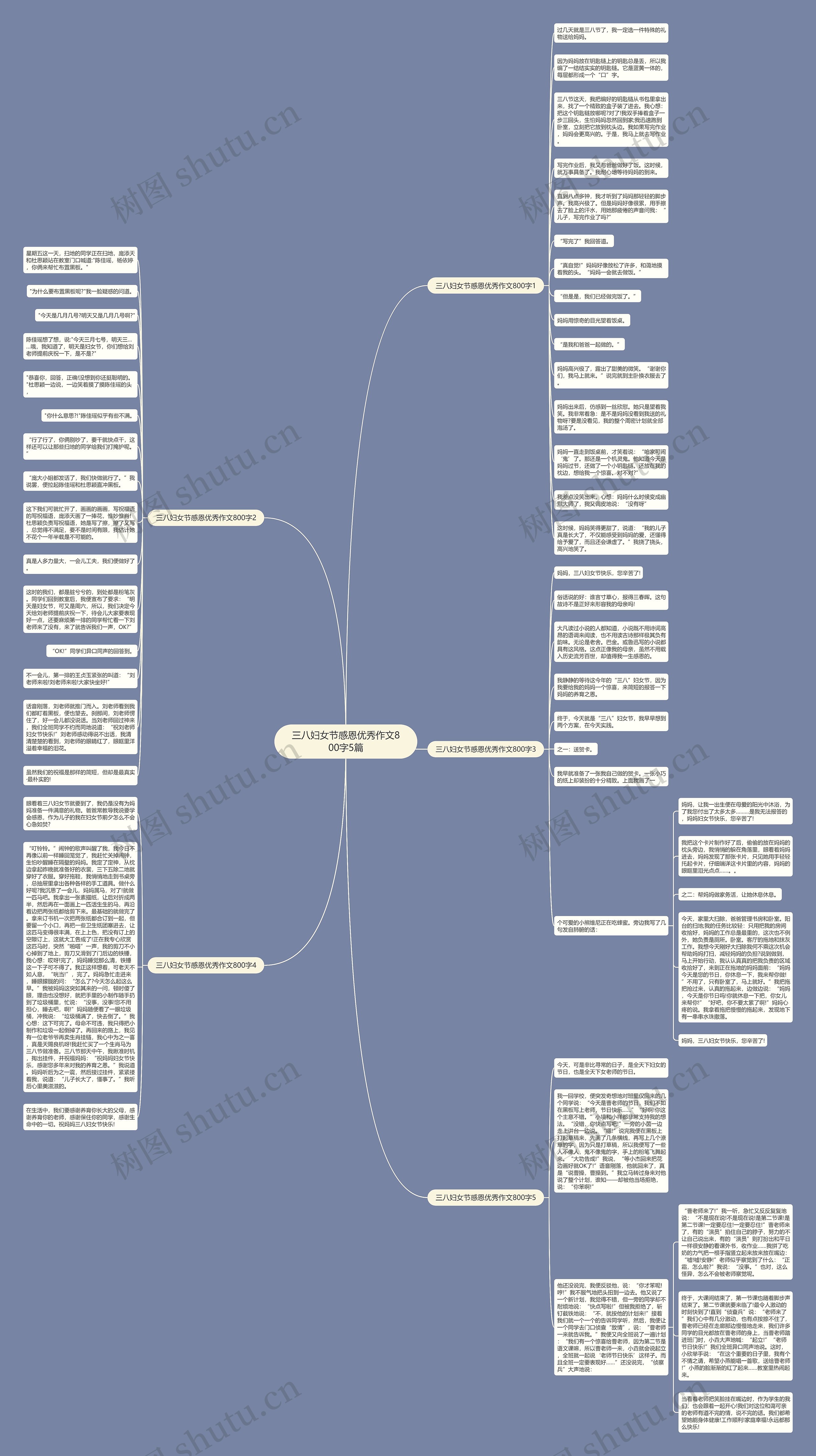 三八妇女节感恩优秀作文800字5篇思维导图