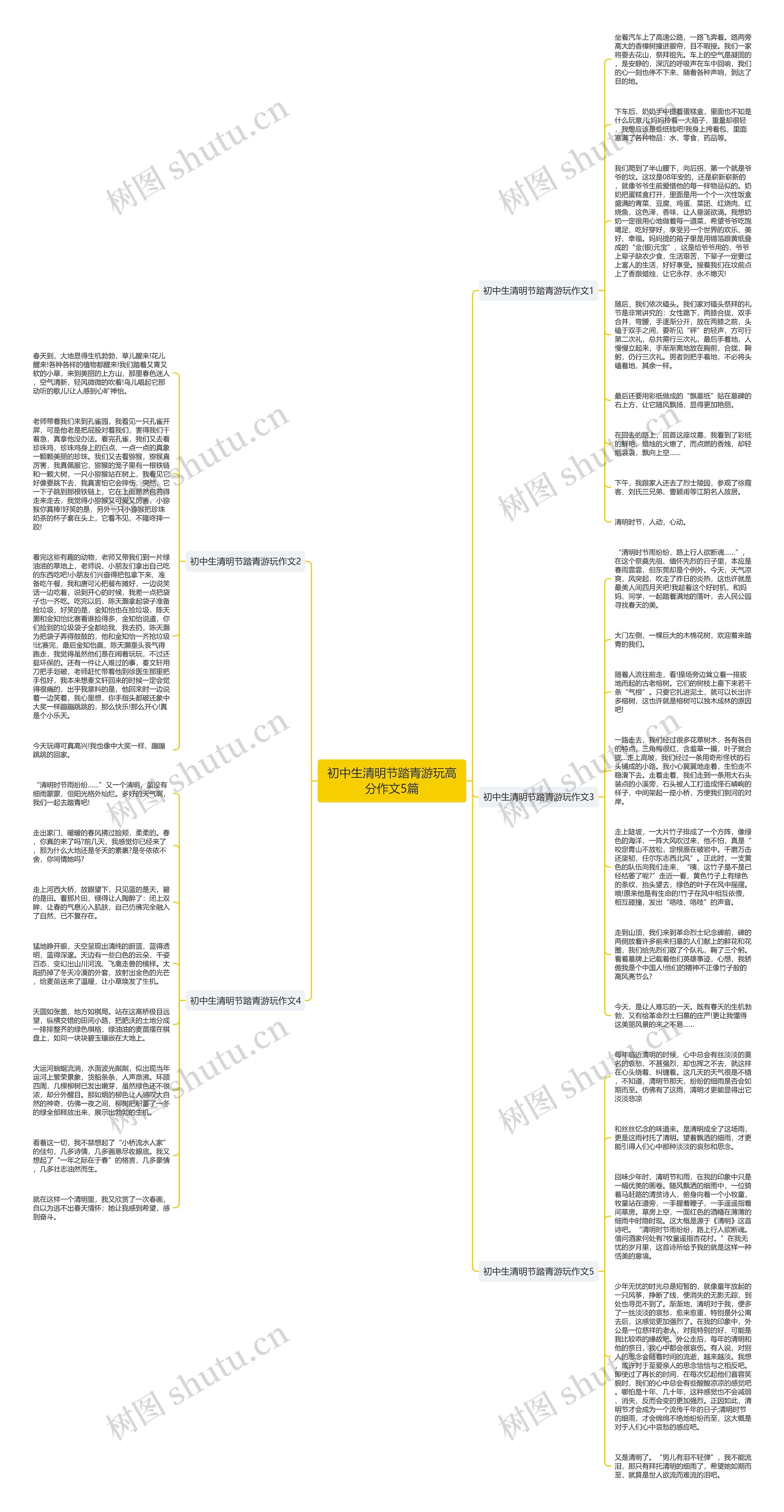 初中生清明节踏青游玩高分作文5篇思维导图