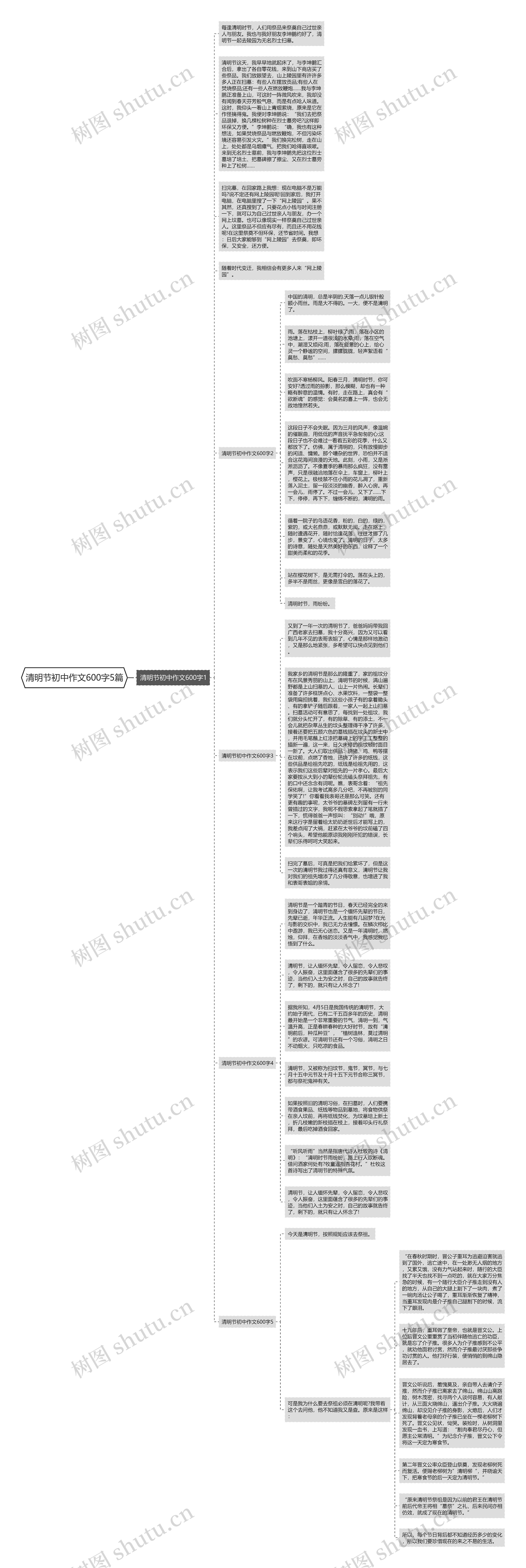 清明节初中作文600字5篇思维导图