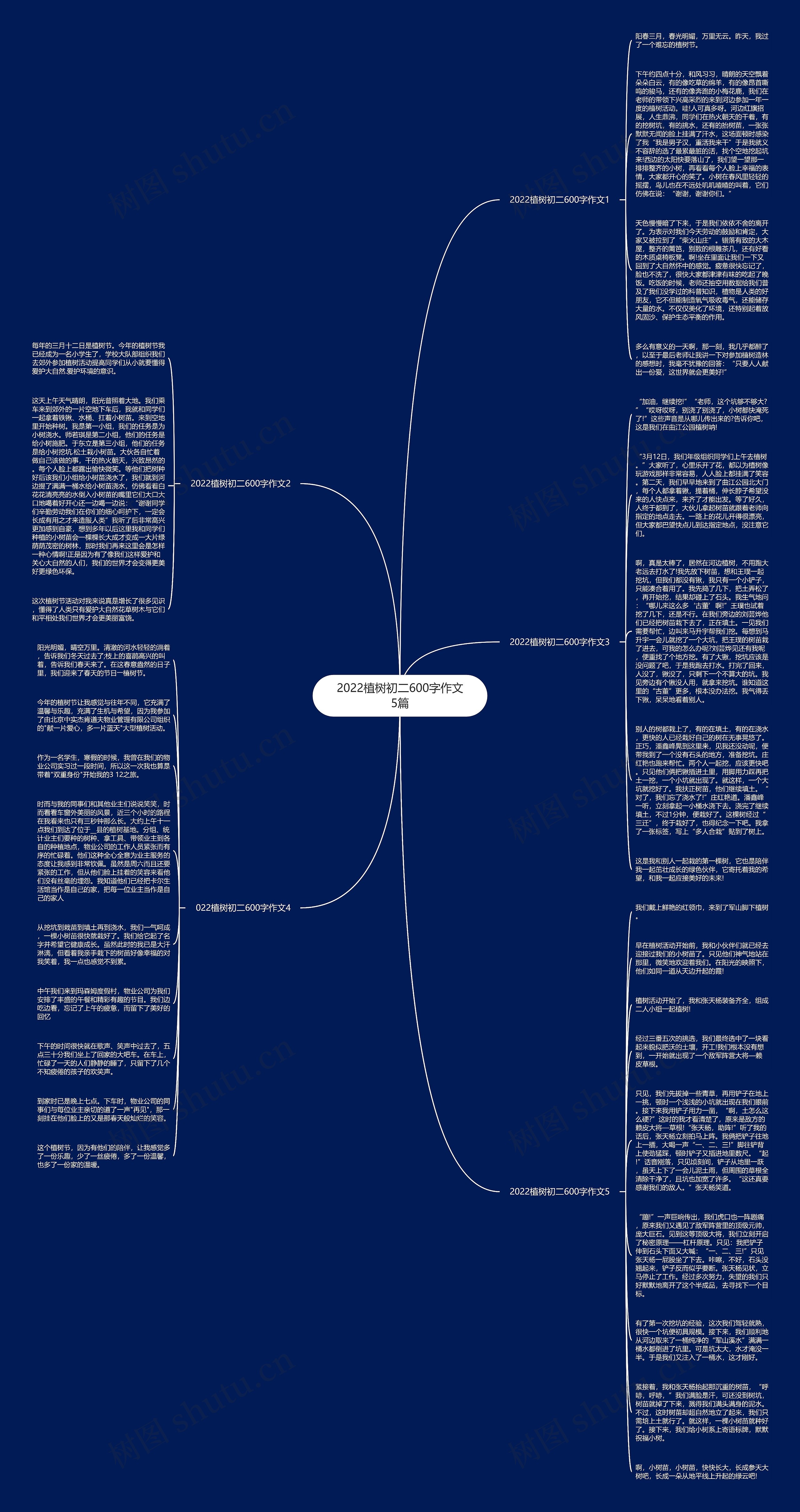 2022植树初二600字作文5篇思维导图