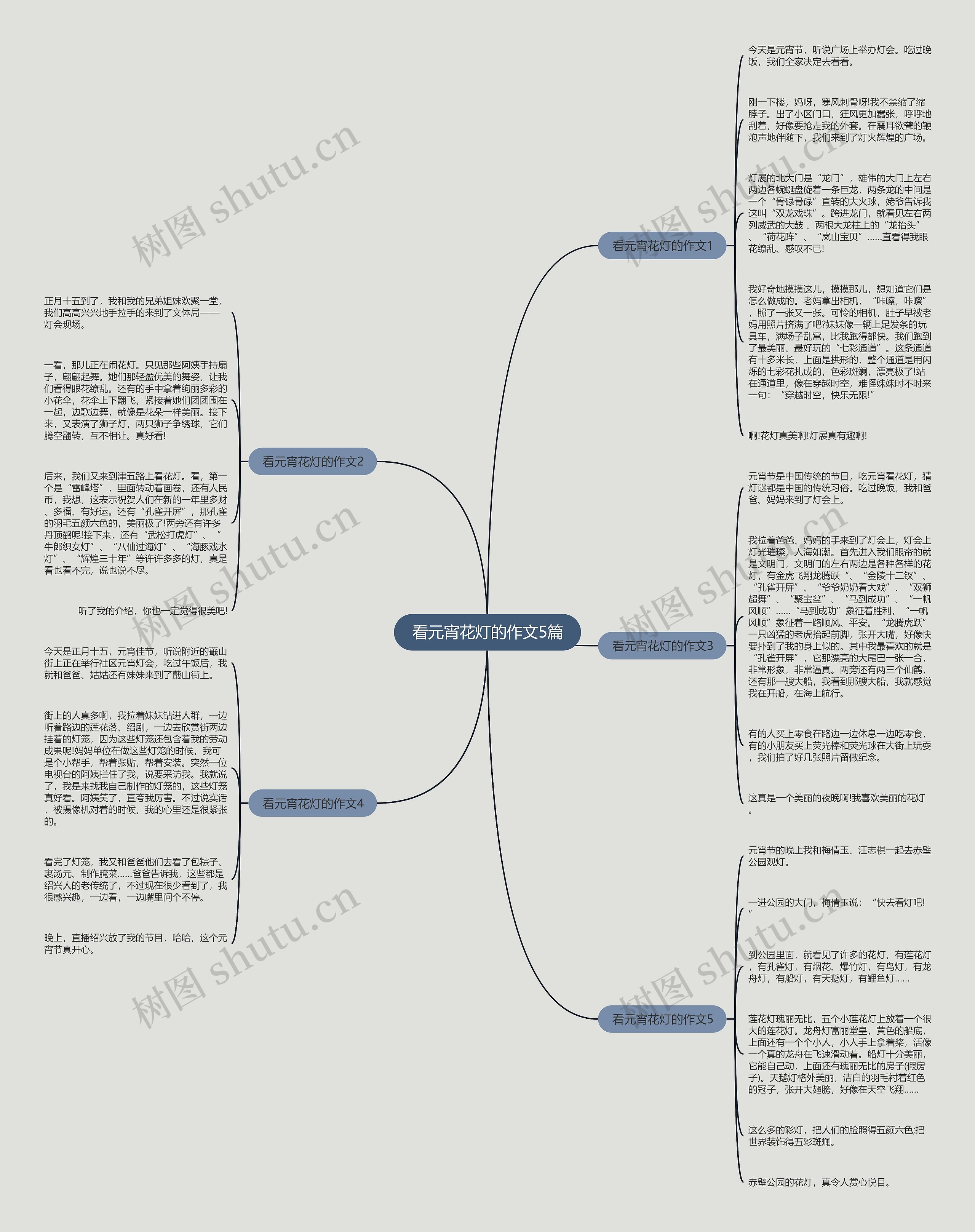 看元宵花灯的作文5篇思维导图
