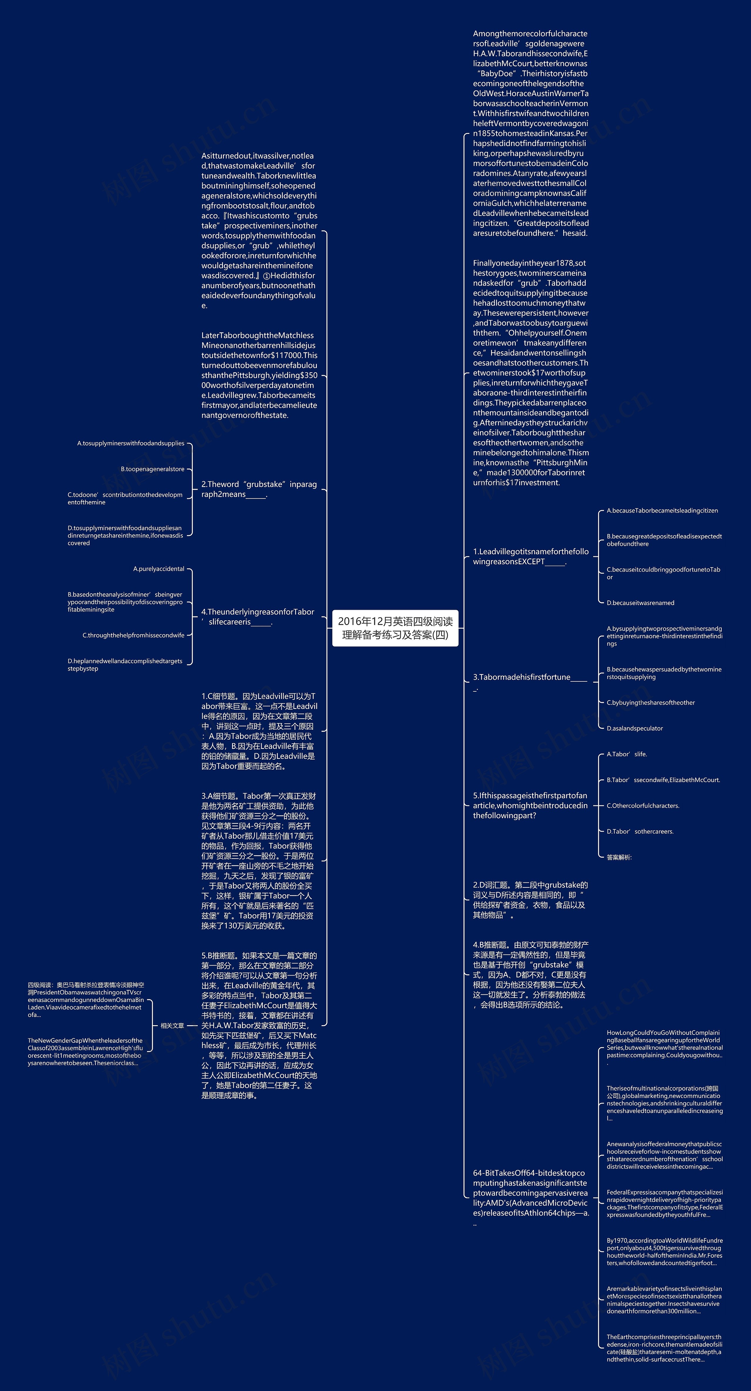 2016年12月英语四级阅读理解备考练习及答案(四)思维导图