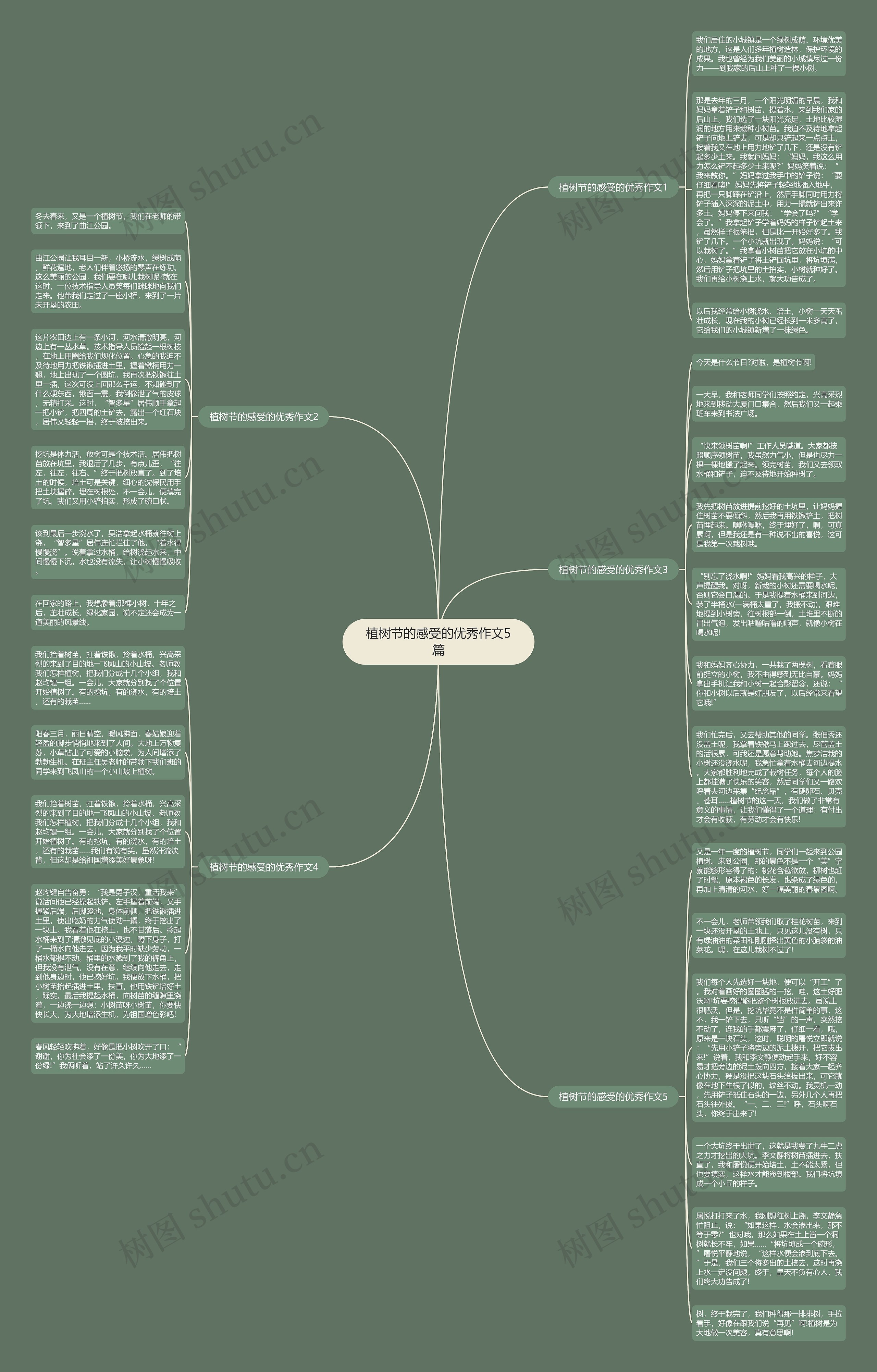 植树节的感受的优秀作文5篇思维导图