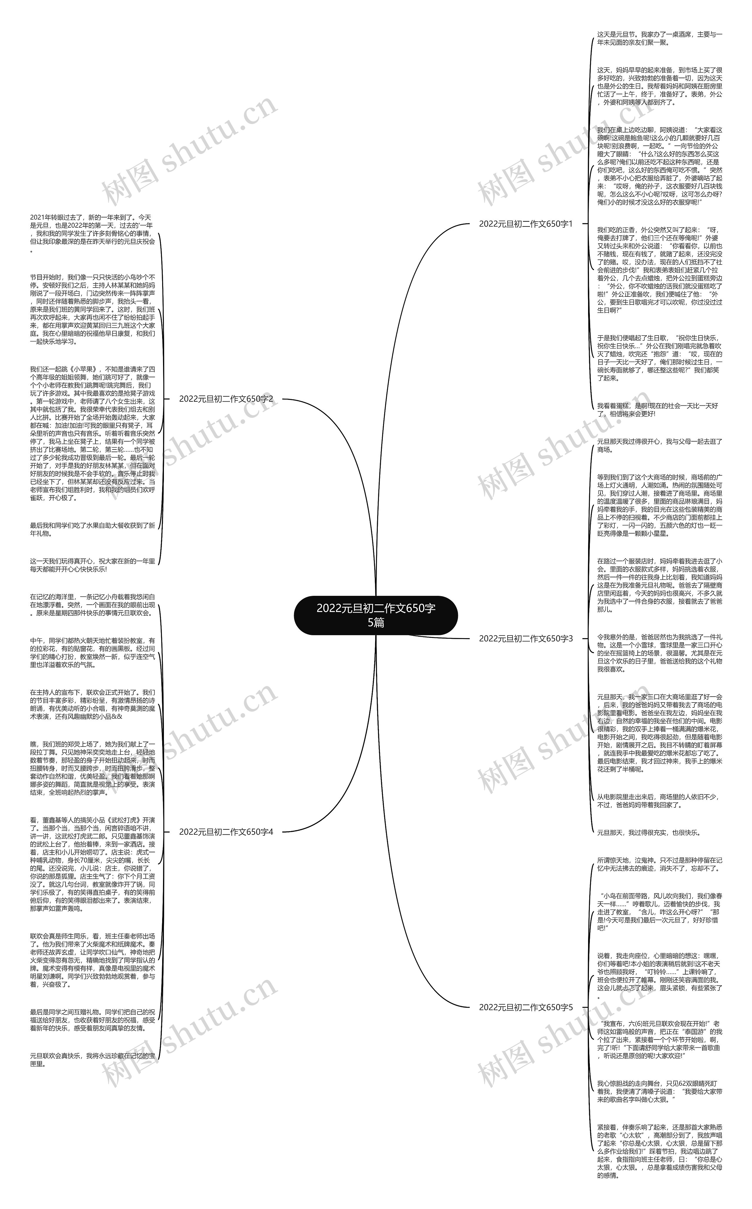 2022元旦初二作文650字5篇思维导图