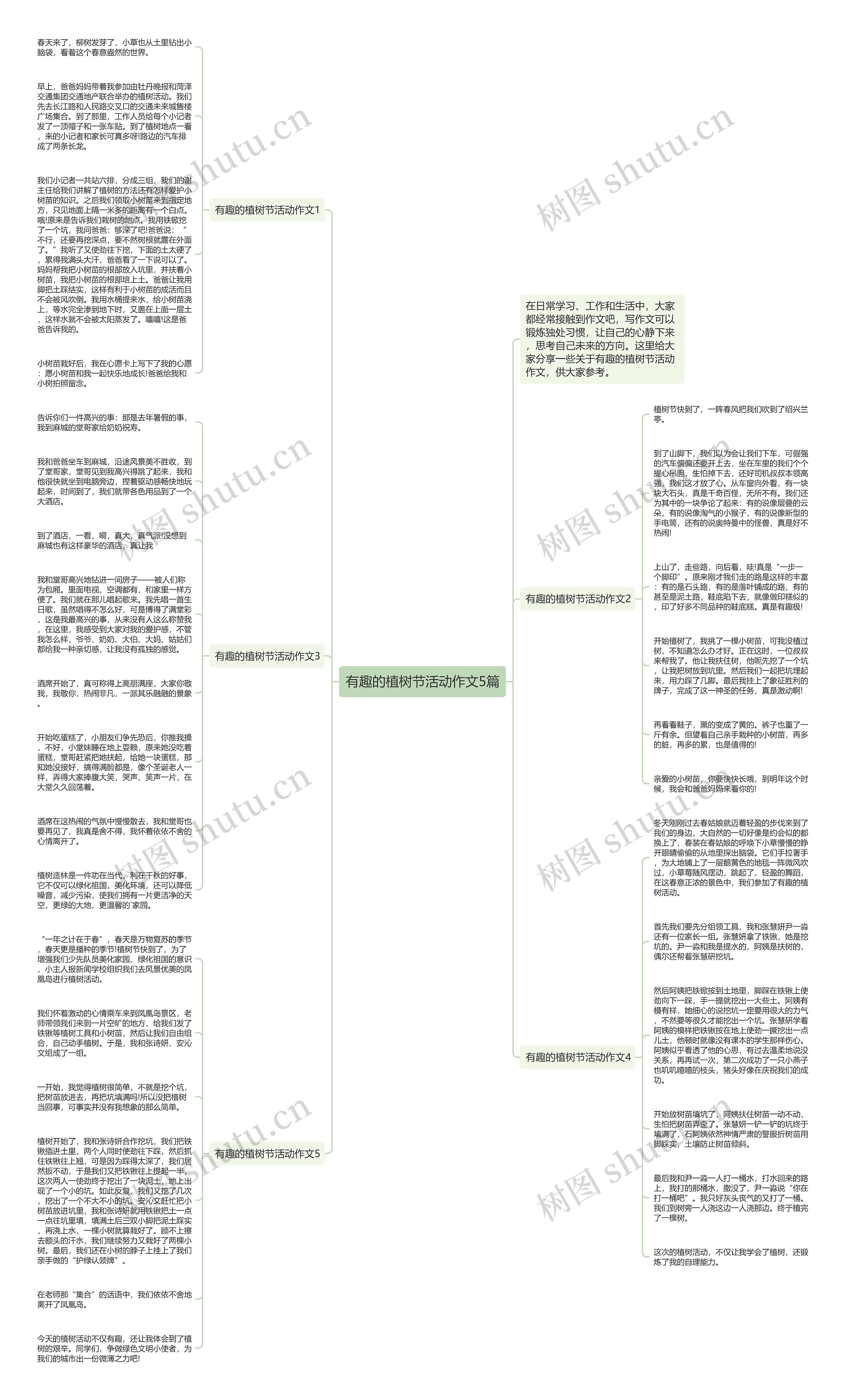 有趣的植树节活动作文5篇思维导图高清图 有趣的植树节活动作文5篇思维导图