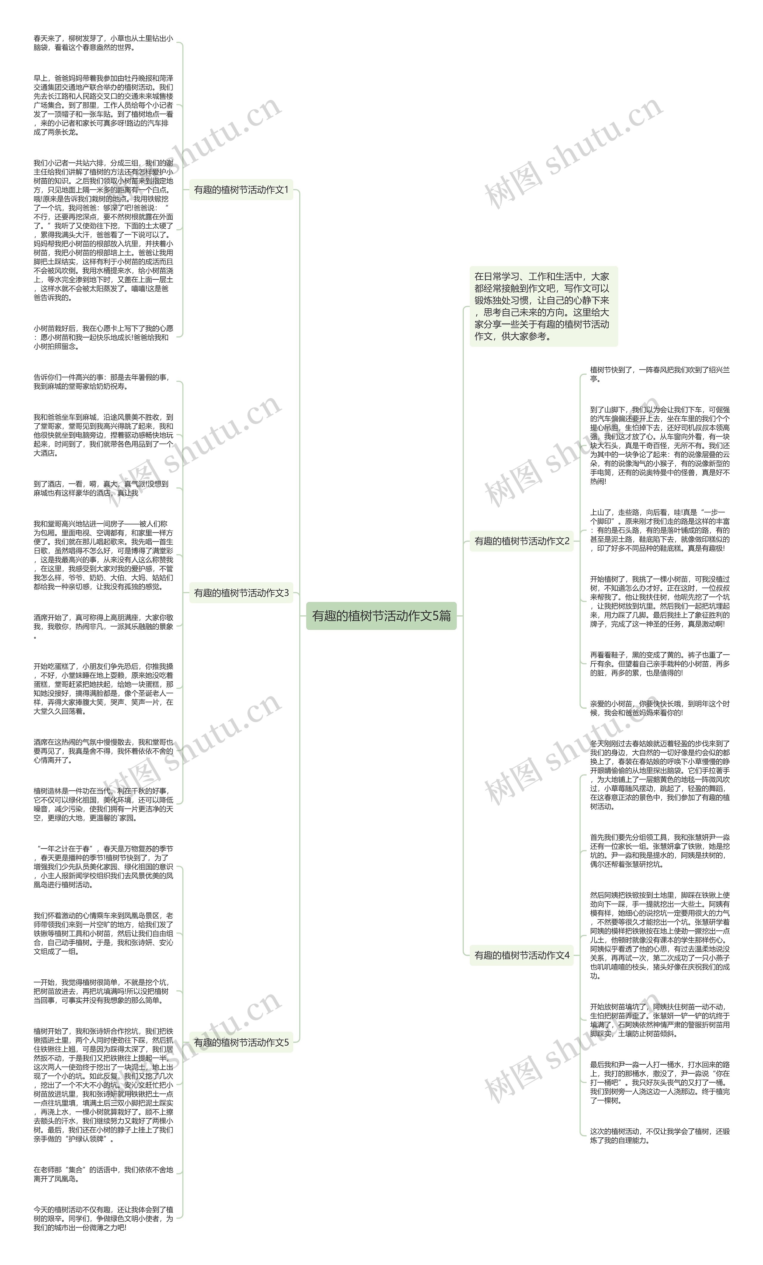 有趣的植树节活动作文5篇思维导图
