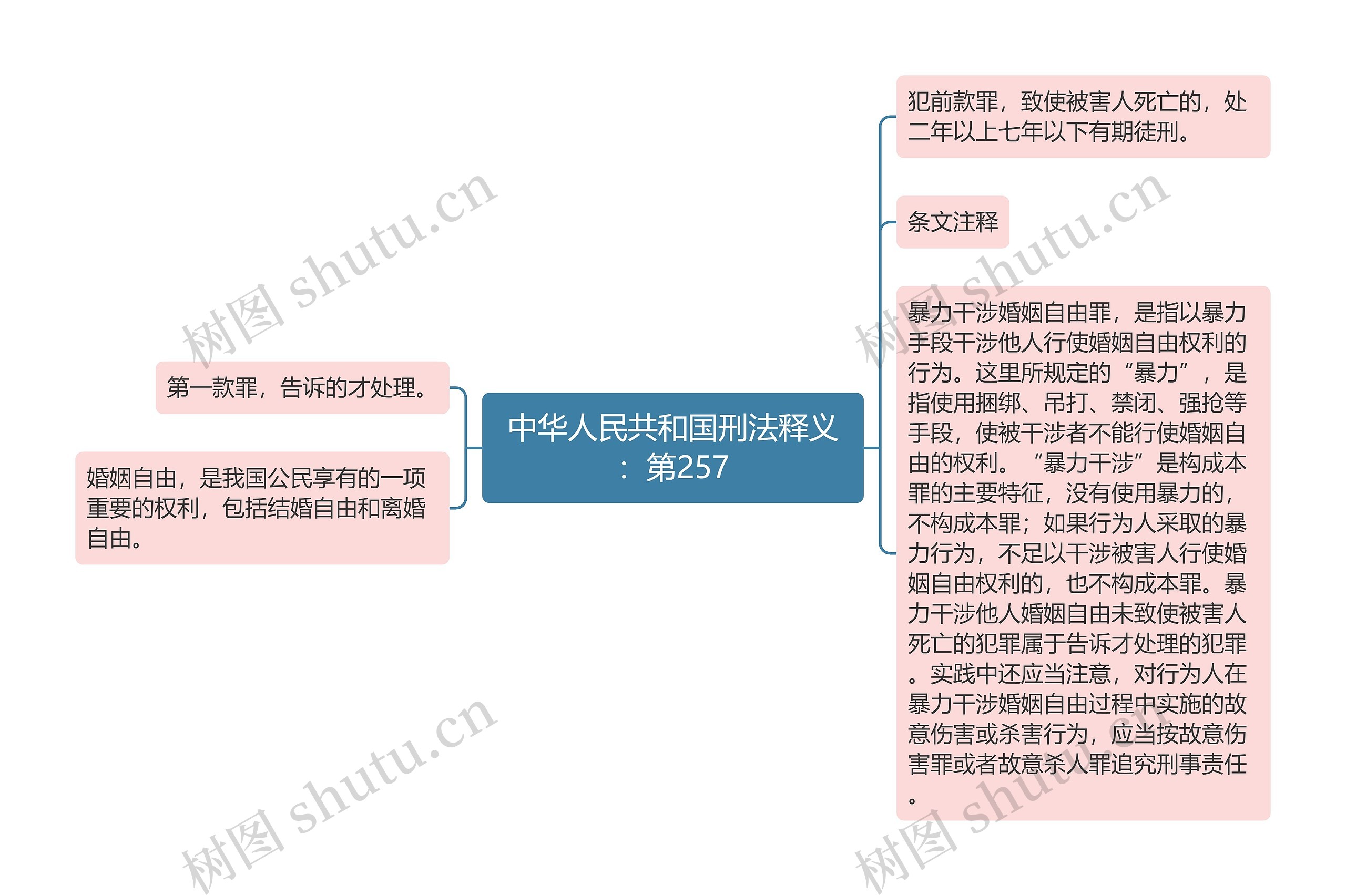 中华人民共和国刑法释义：第257思维导图