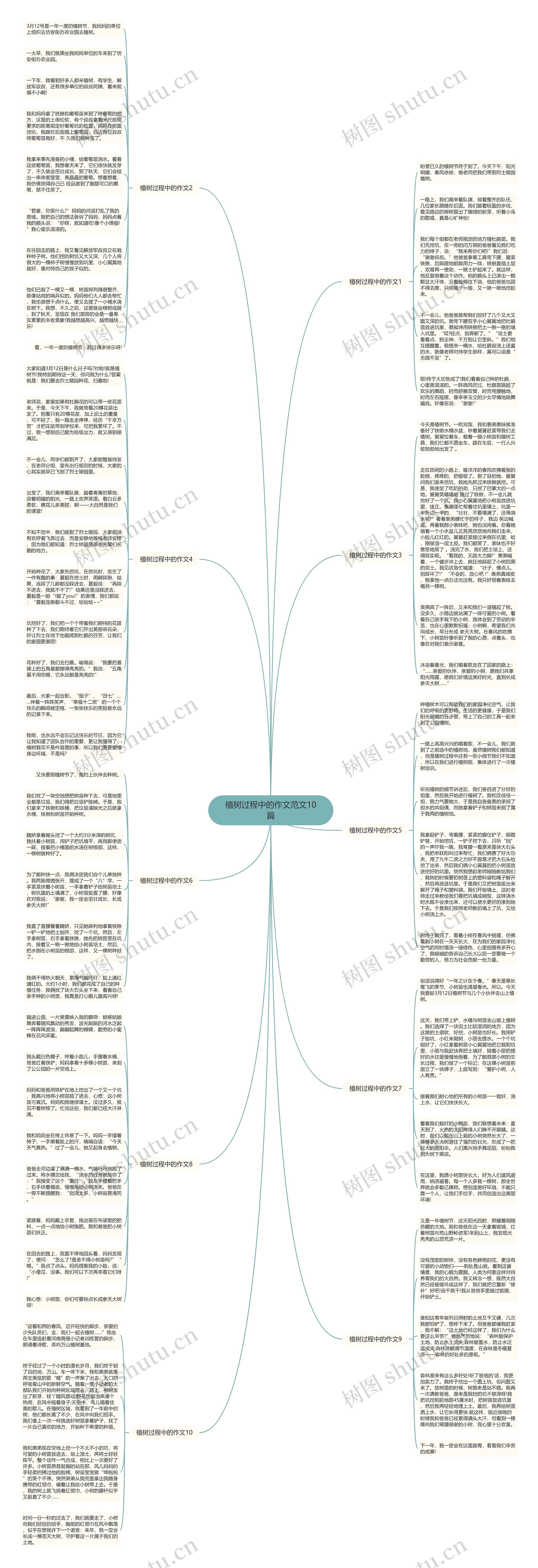 植树过程中的作文范文10篇思维导图