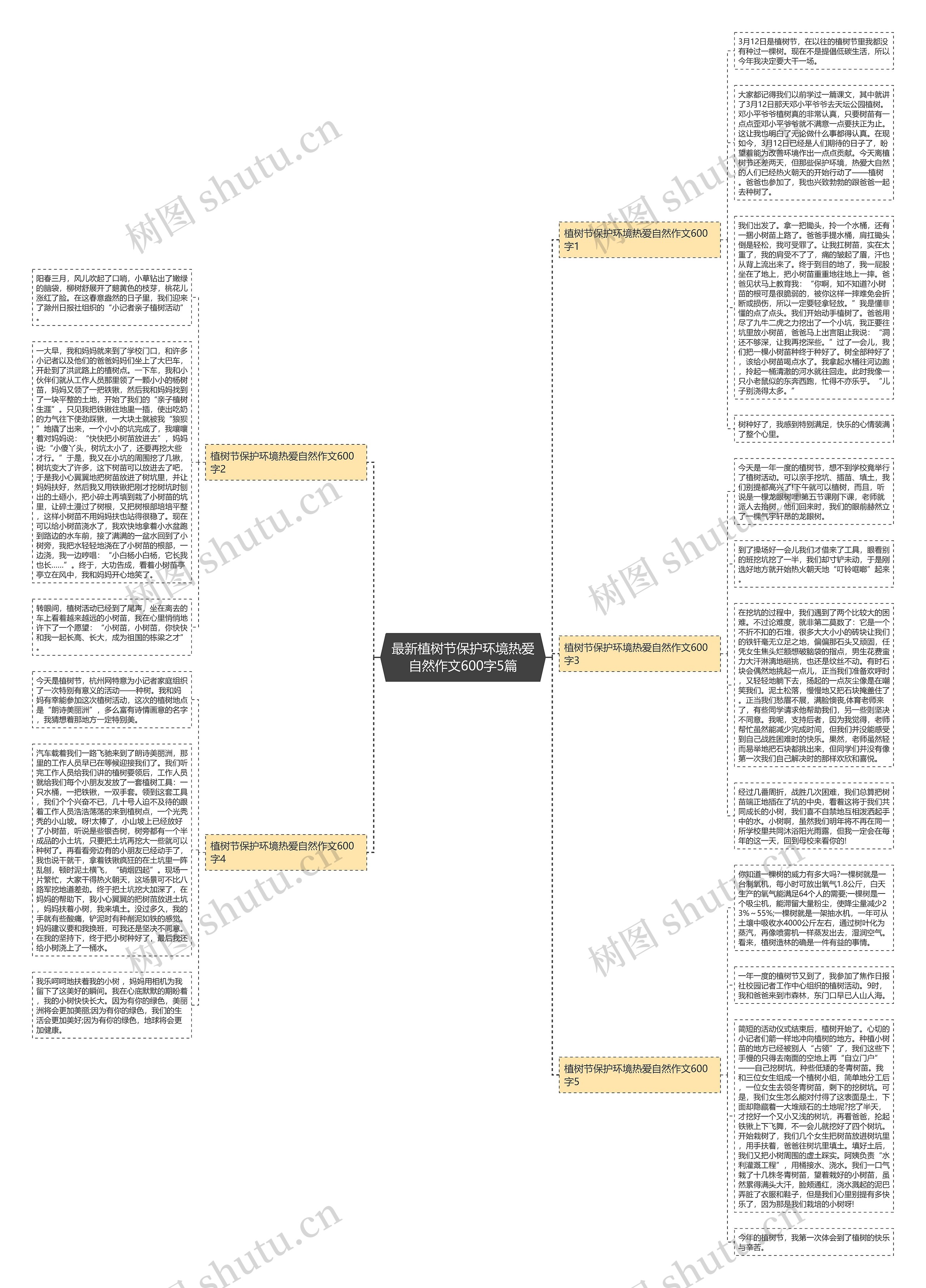 最新植树节保护环境热爱自然作文600字5篇思维导图