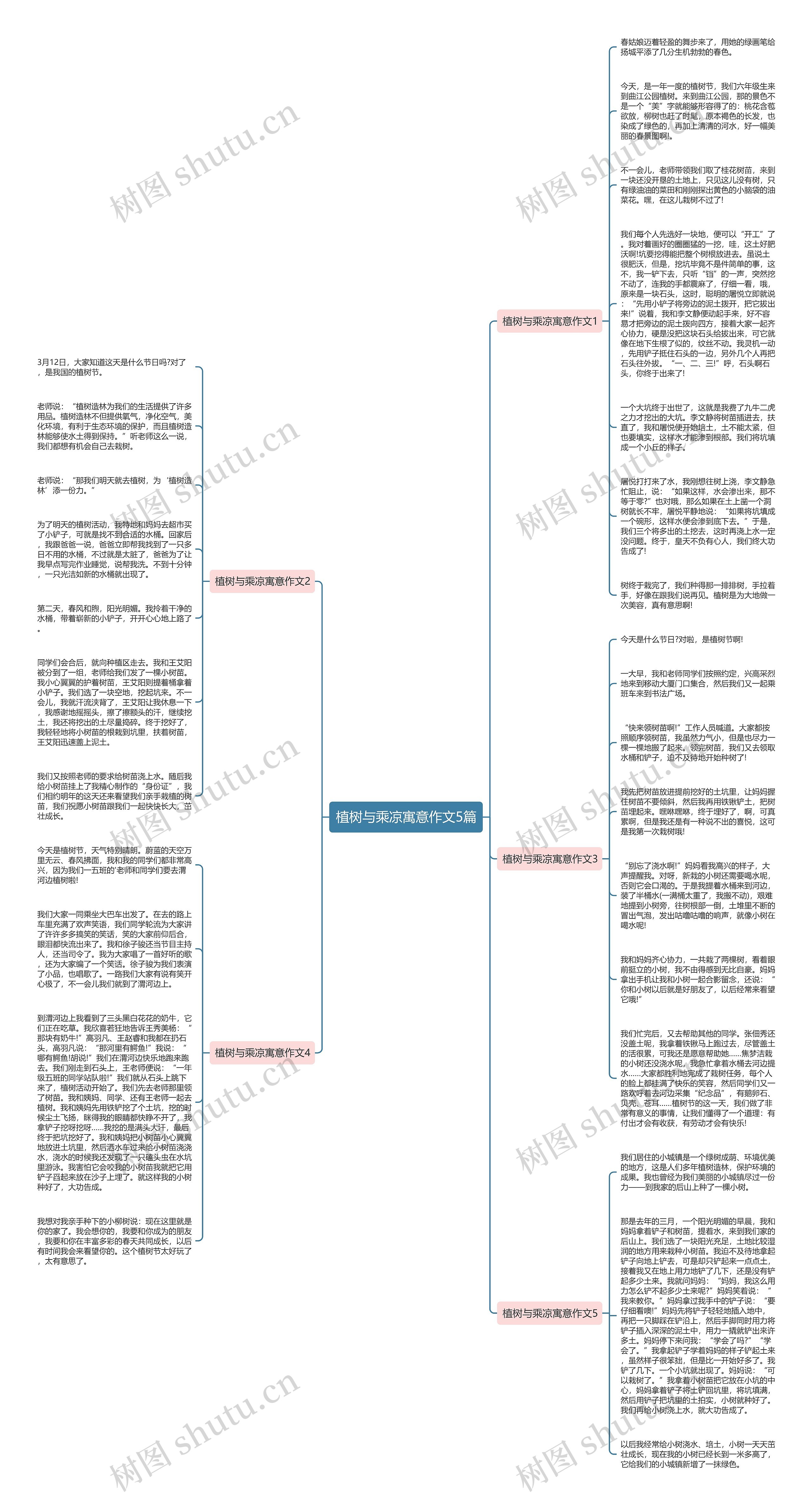 植树与乘凉寓意作文5篇思维导图