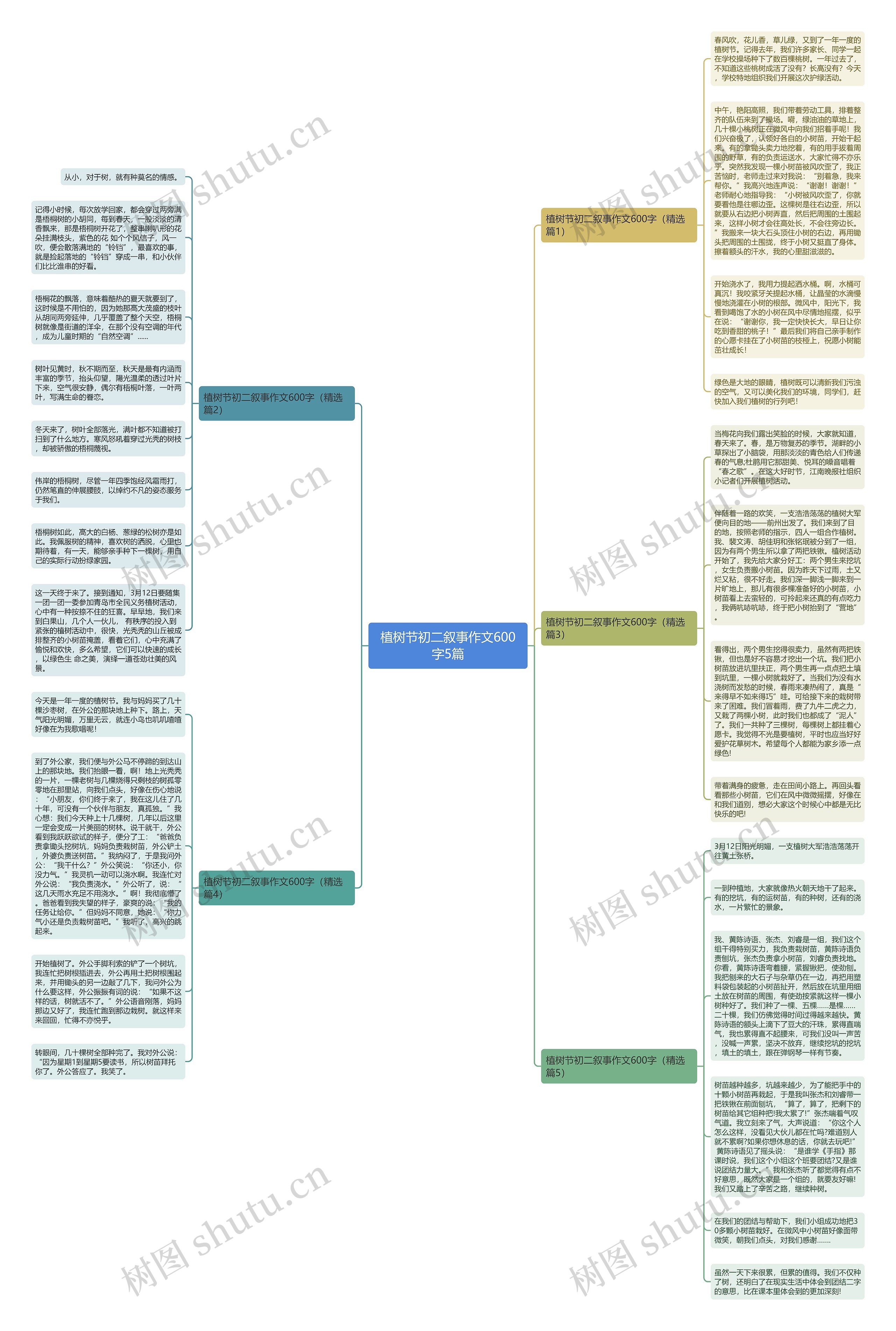 植树节初二叙事作文600字5篇思维导图