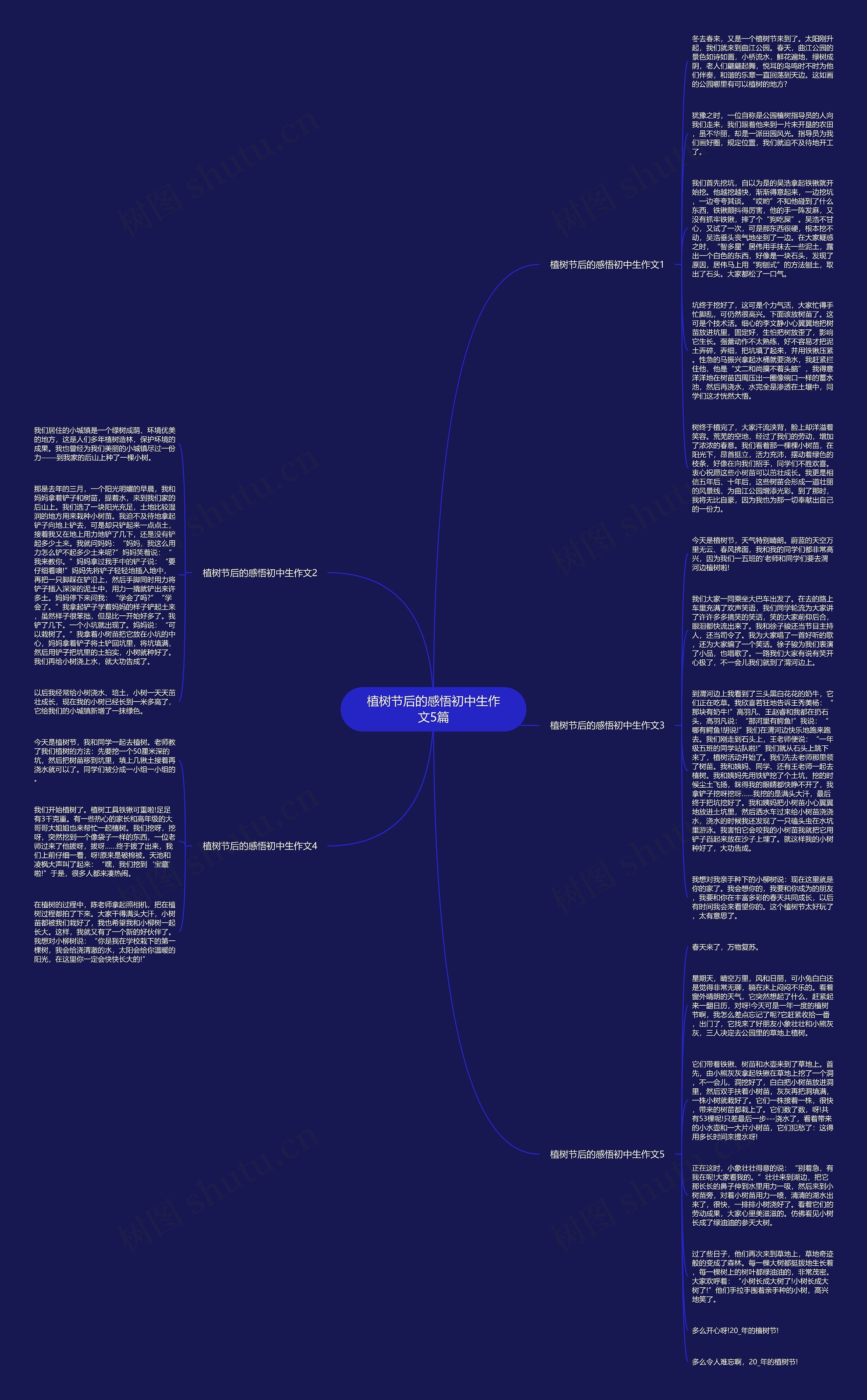 植树节后的感悟初中生作文5篇思维导图