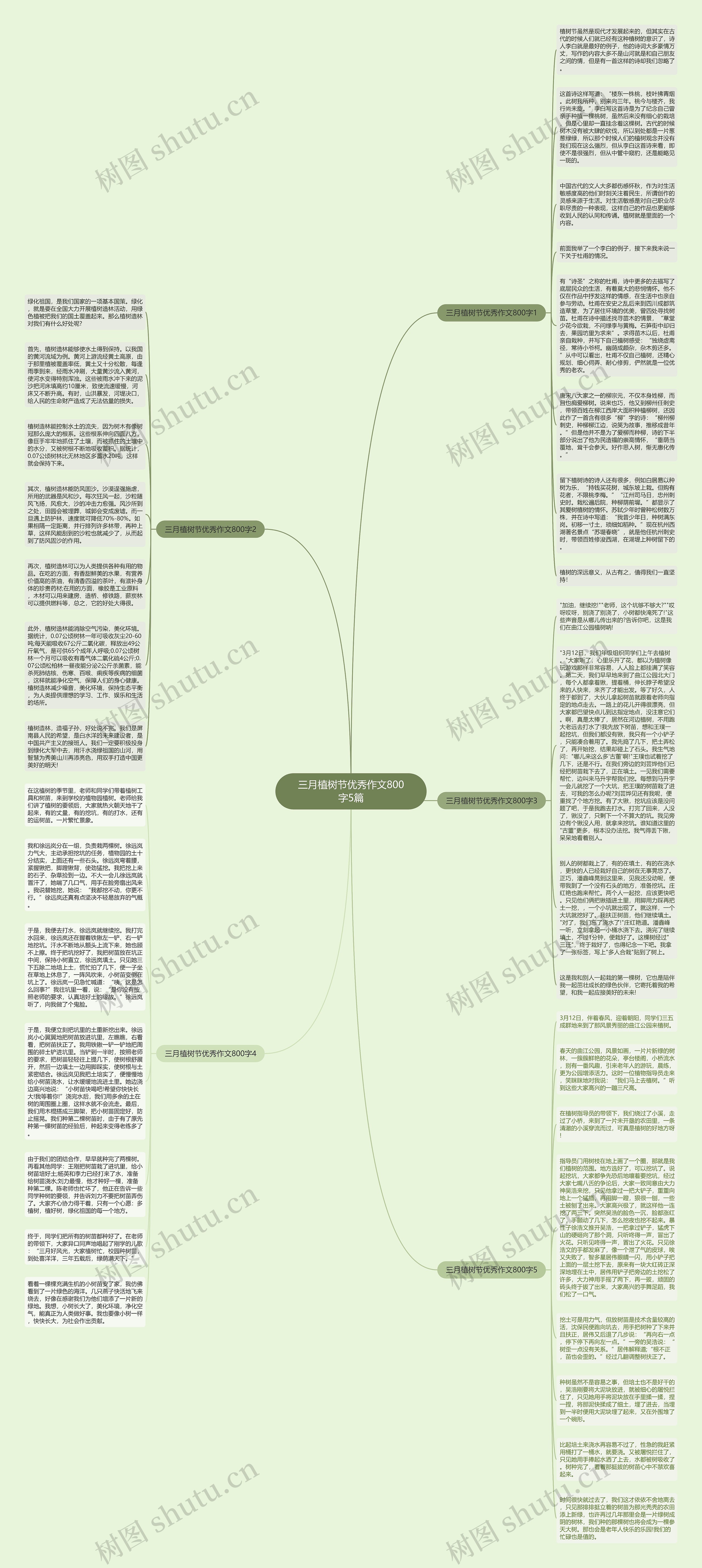 三月植树节优秀作文800字5篇思维导图