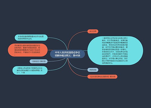 中华人民共和国劳动争议调解仲裁法释义：第48条