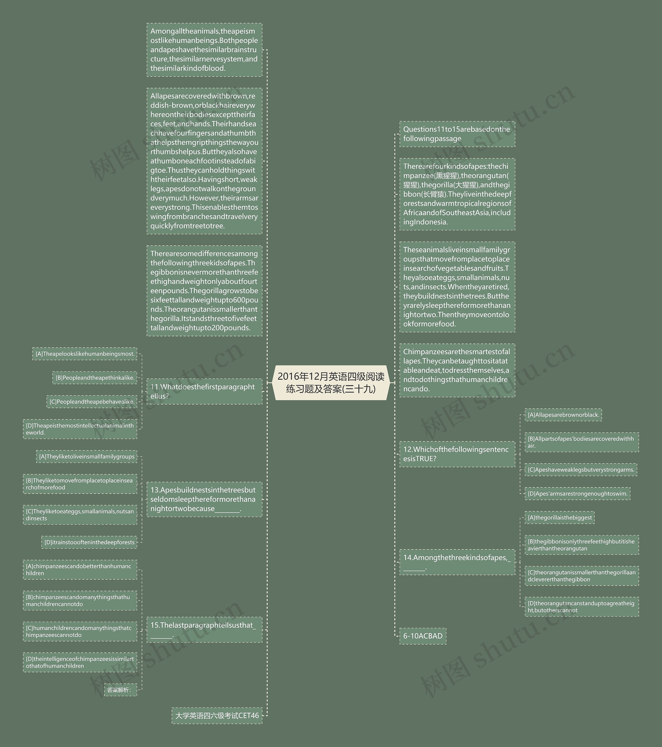 2016年12月英语四级阅读练习题及答案(三十九)思维导图