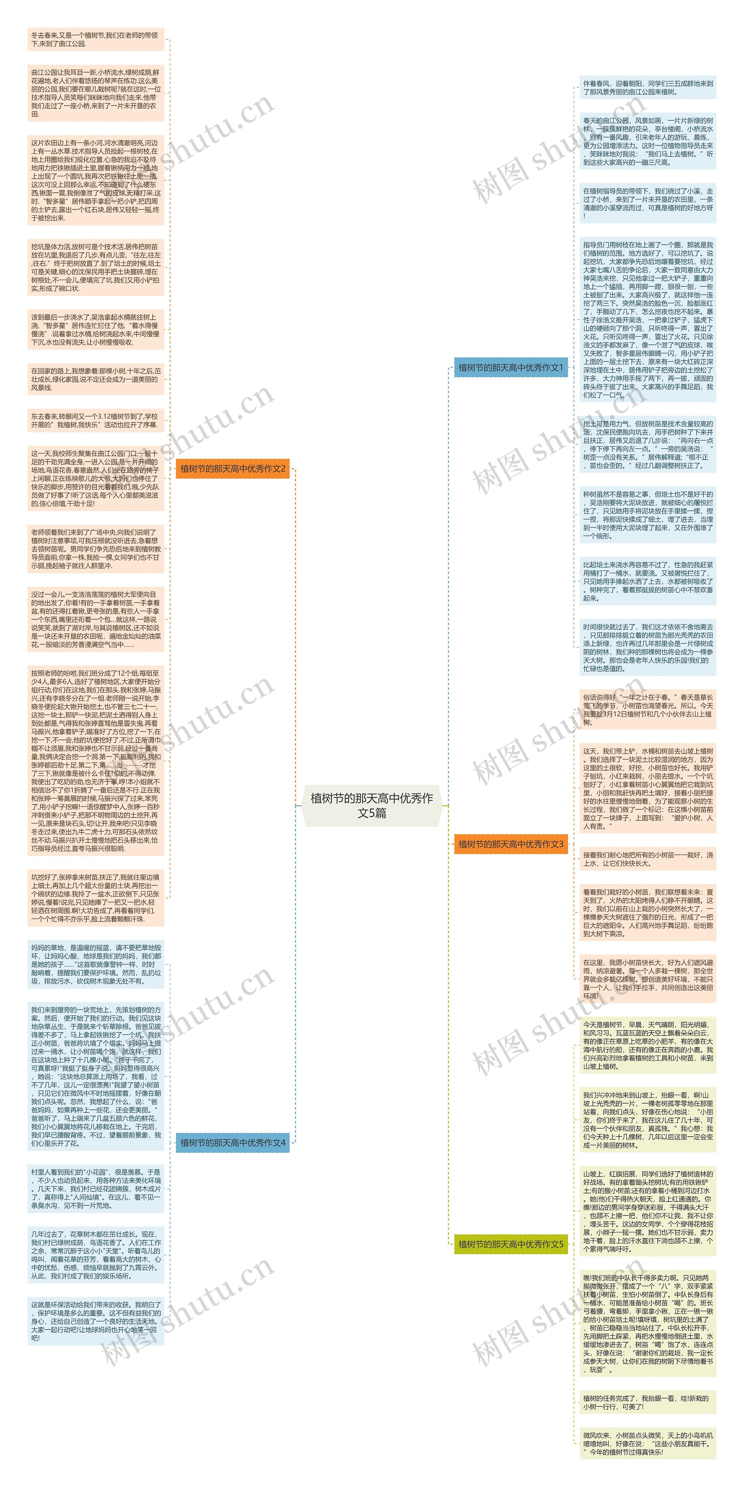 植树节的那天高中优秀作文5篇思维导图