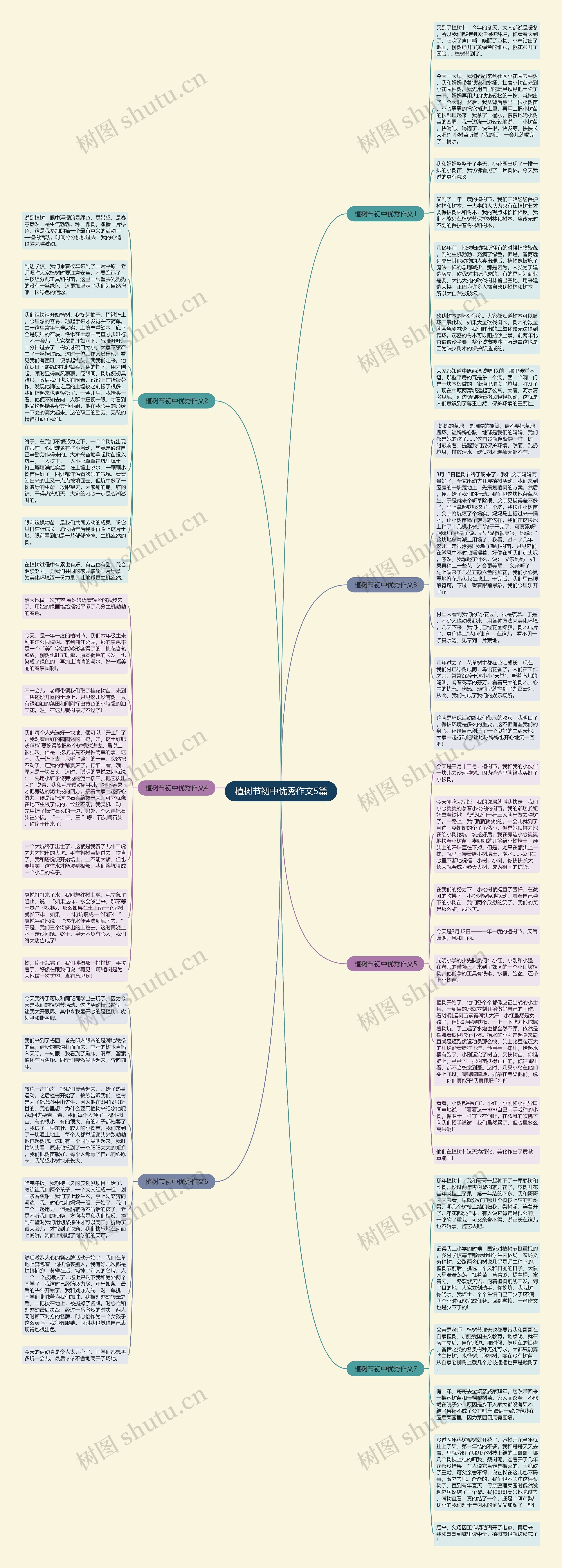 植树节初中优秀作文5篇思维导图