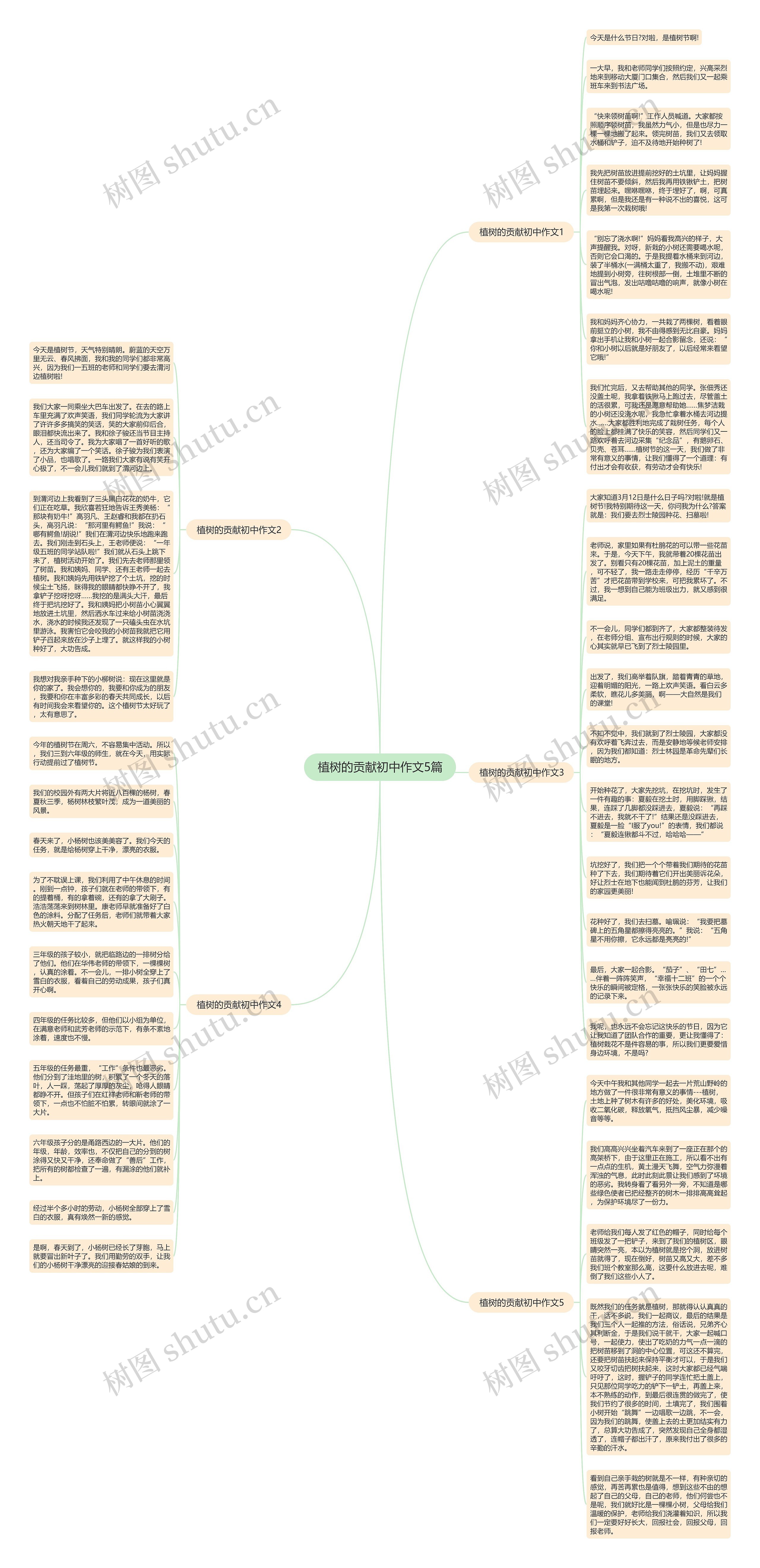 植树的贡献初中作文5篇思维导图