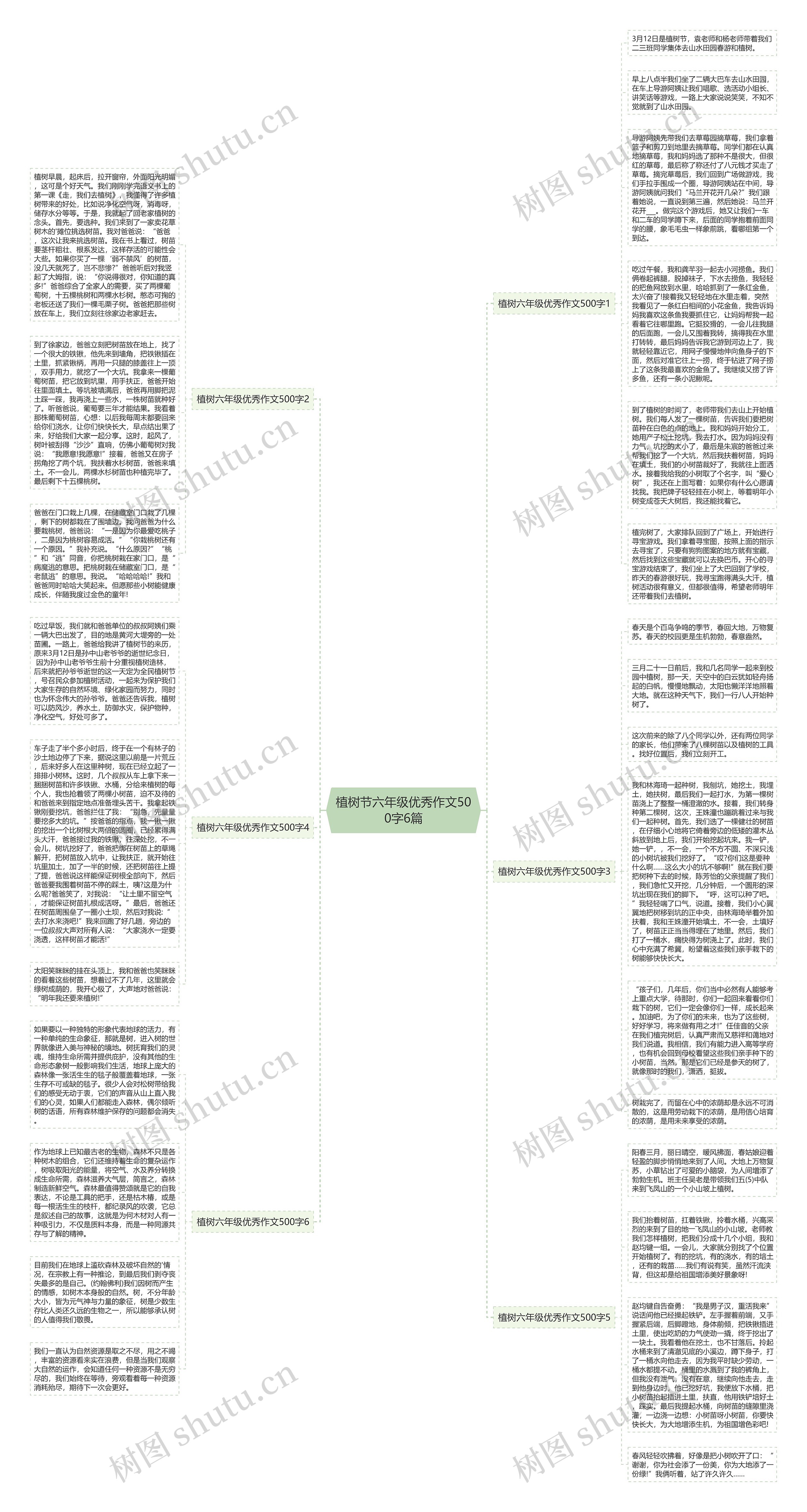 植树节六年级优秀作文500字6篇思维导图