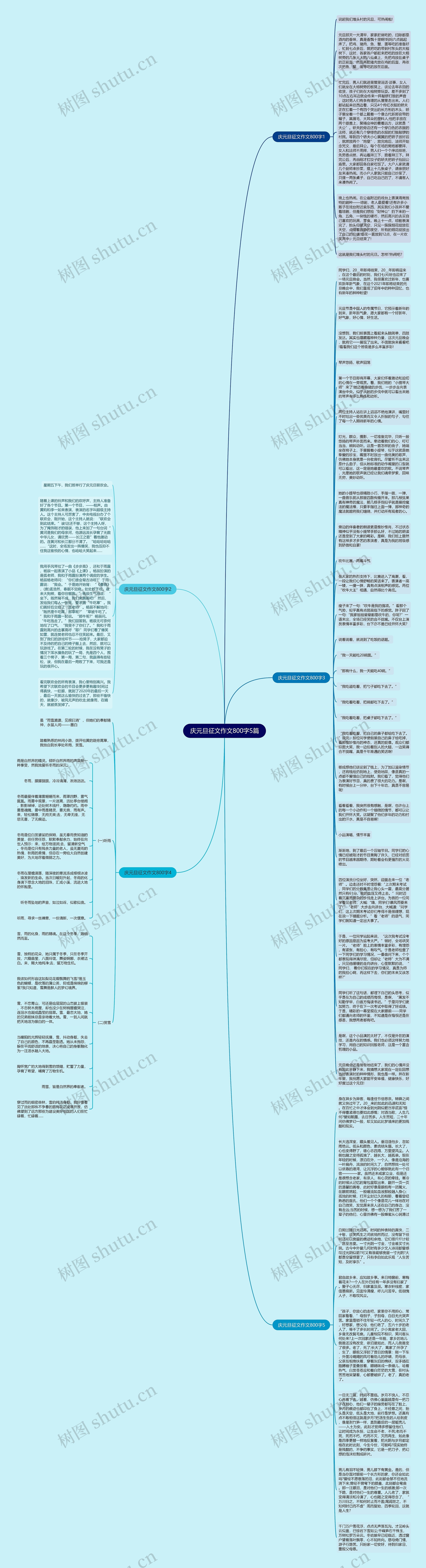 庆元旦征文作文800字5篇思维导图