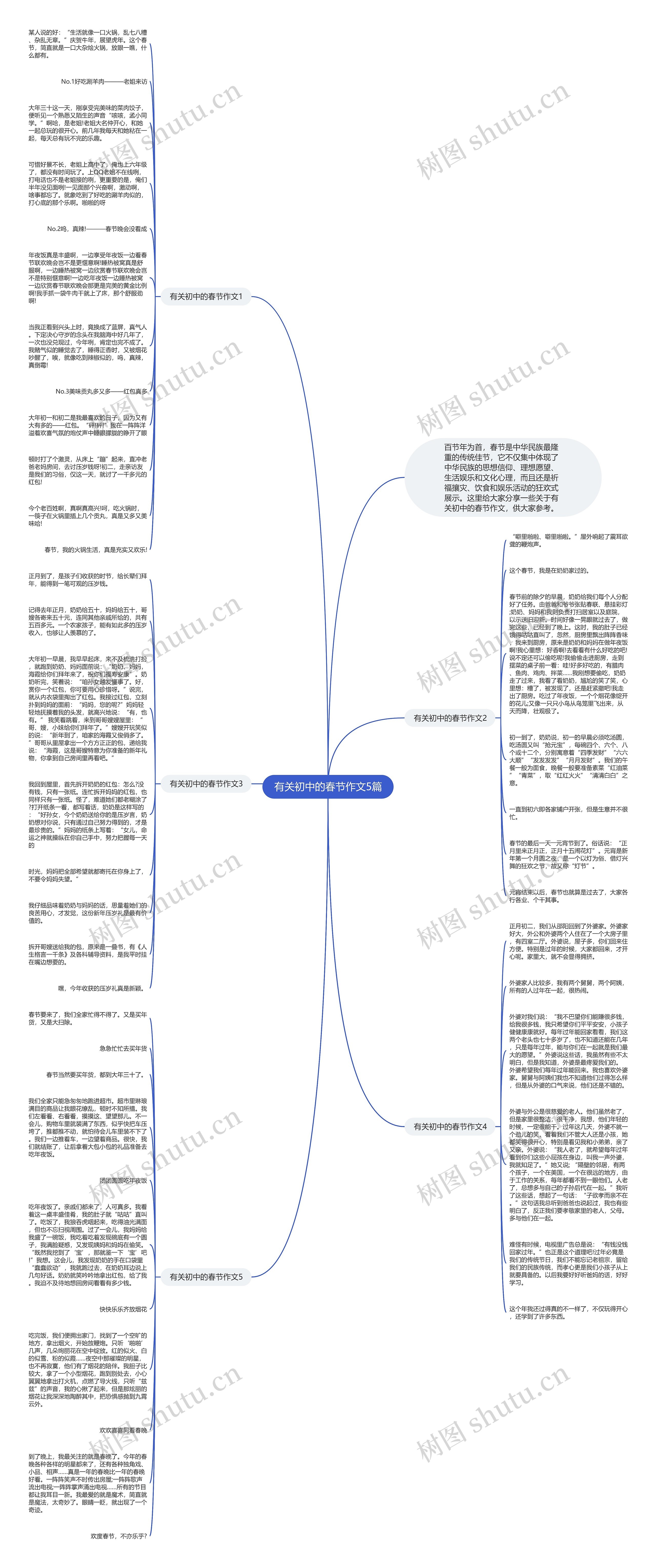 有关初中的春节作文5篇思维导图