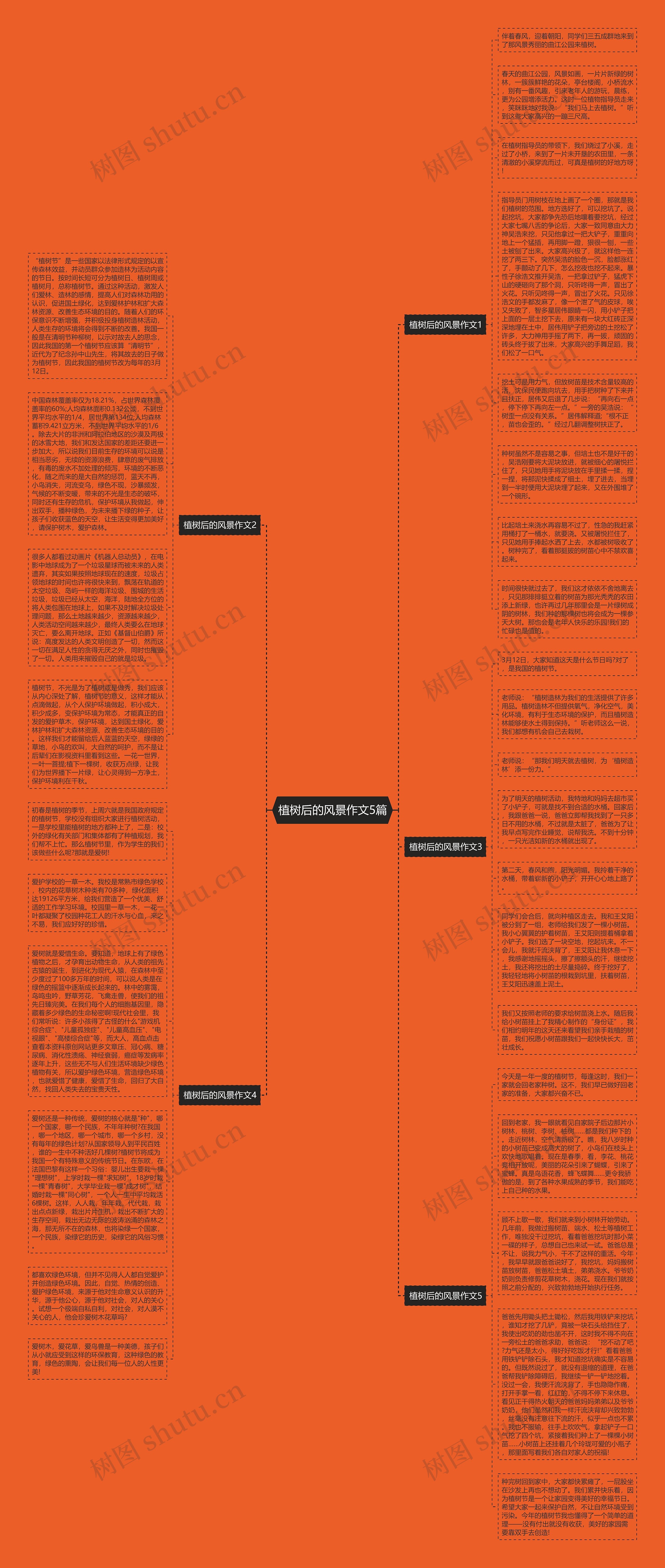 植树后的风景作文5篇思维导图